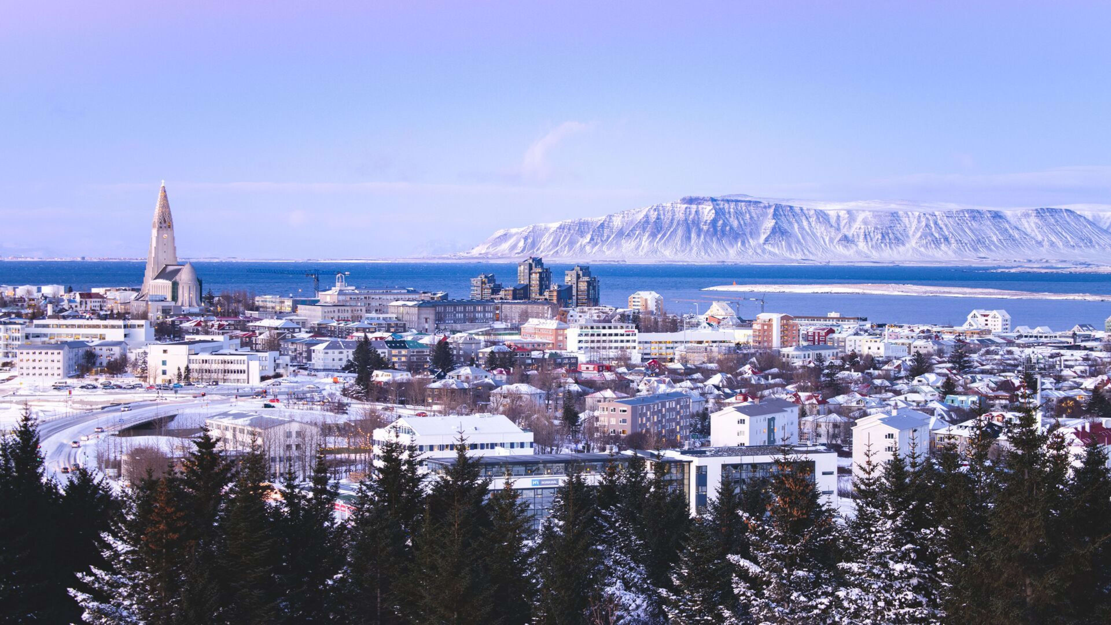 reykjavik city landscape in winter