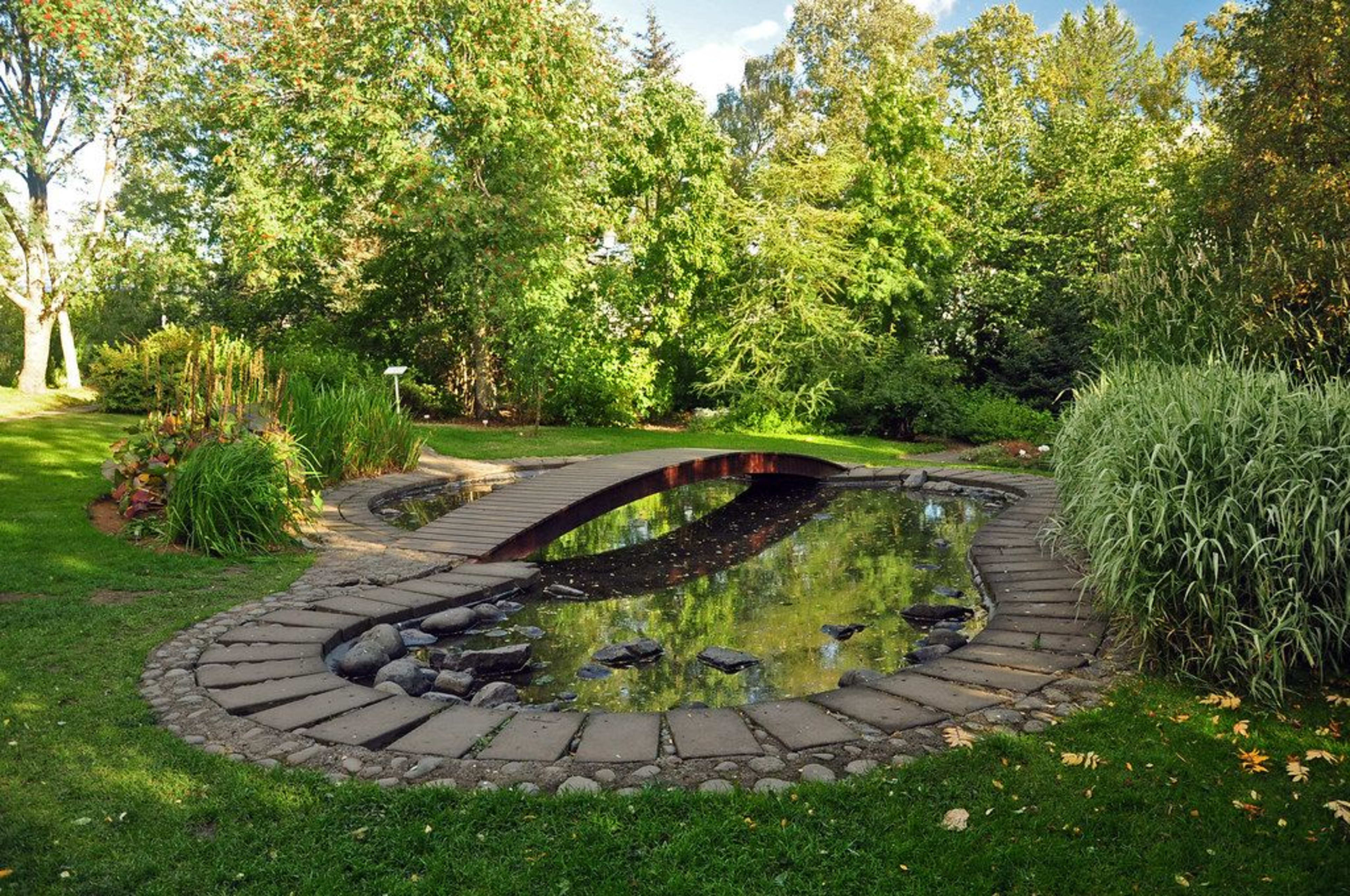 a corner of Akureyri Botanical Garden