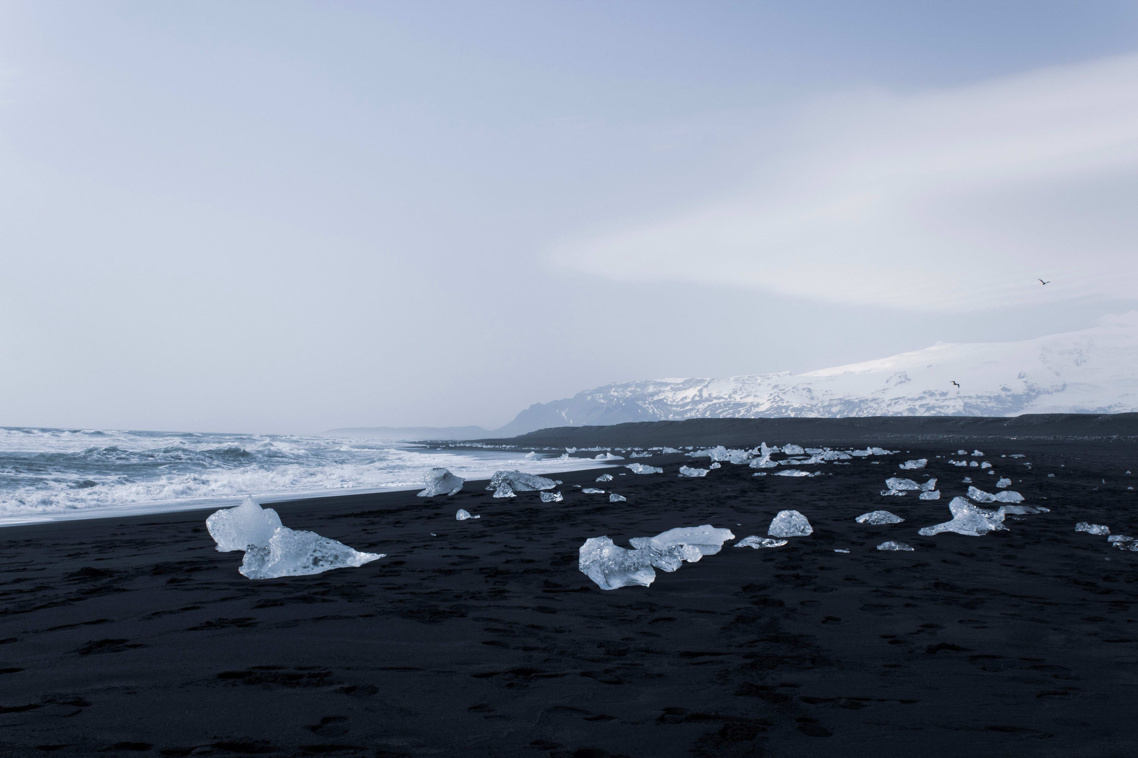 diamond beach with several ice