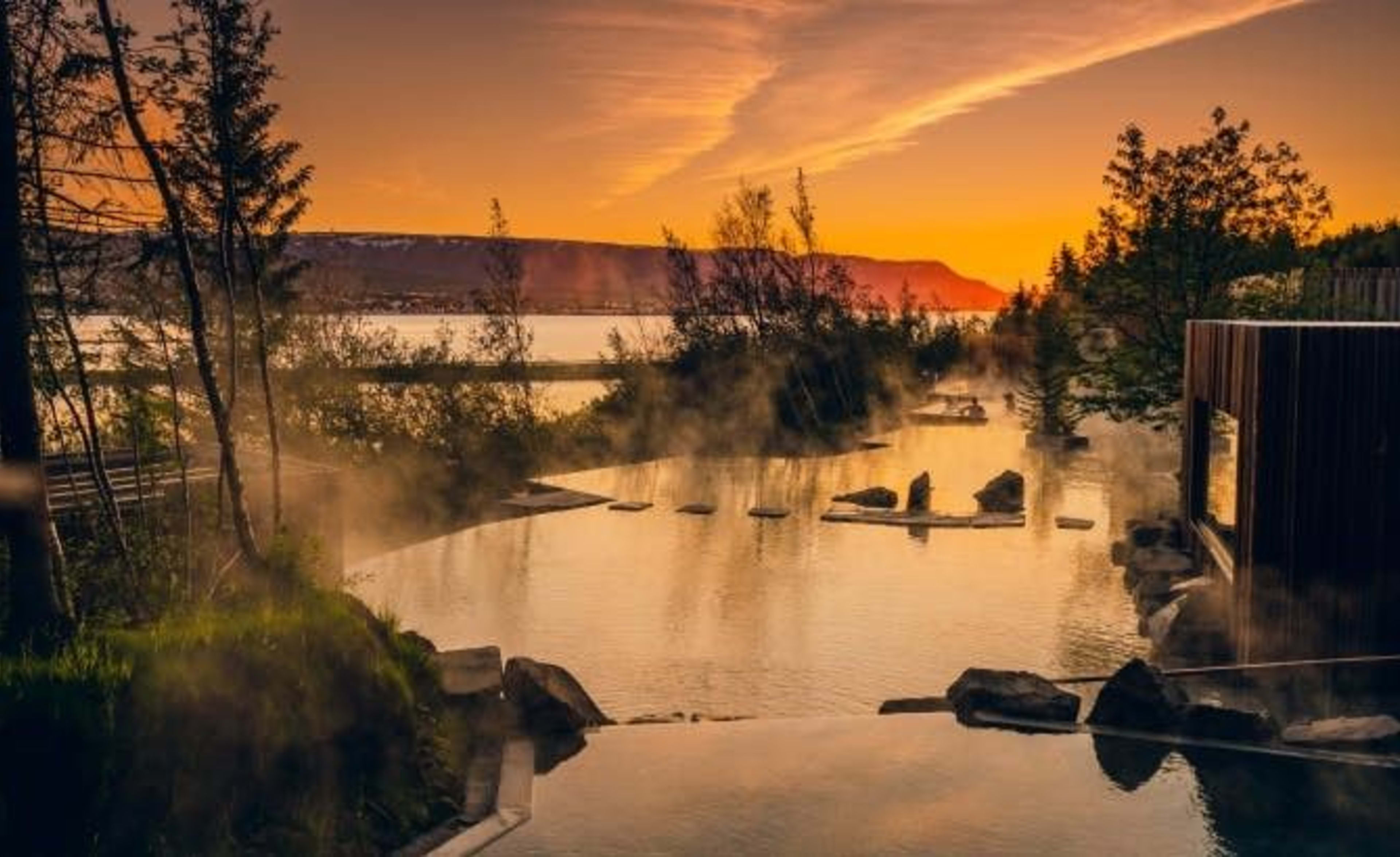 forest lagoon with sunset