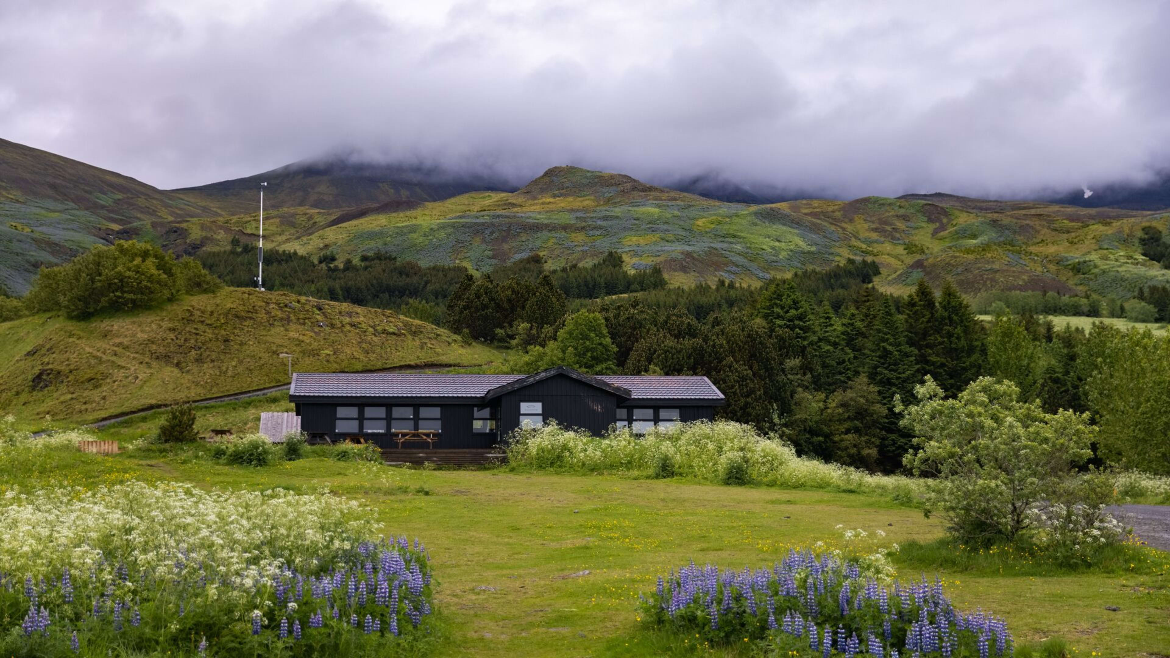 house in iceland surrounded by flowers and trees