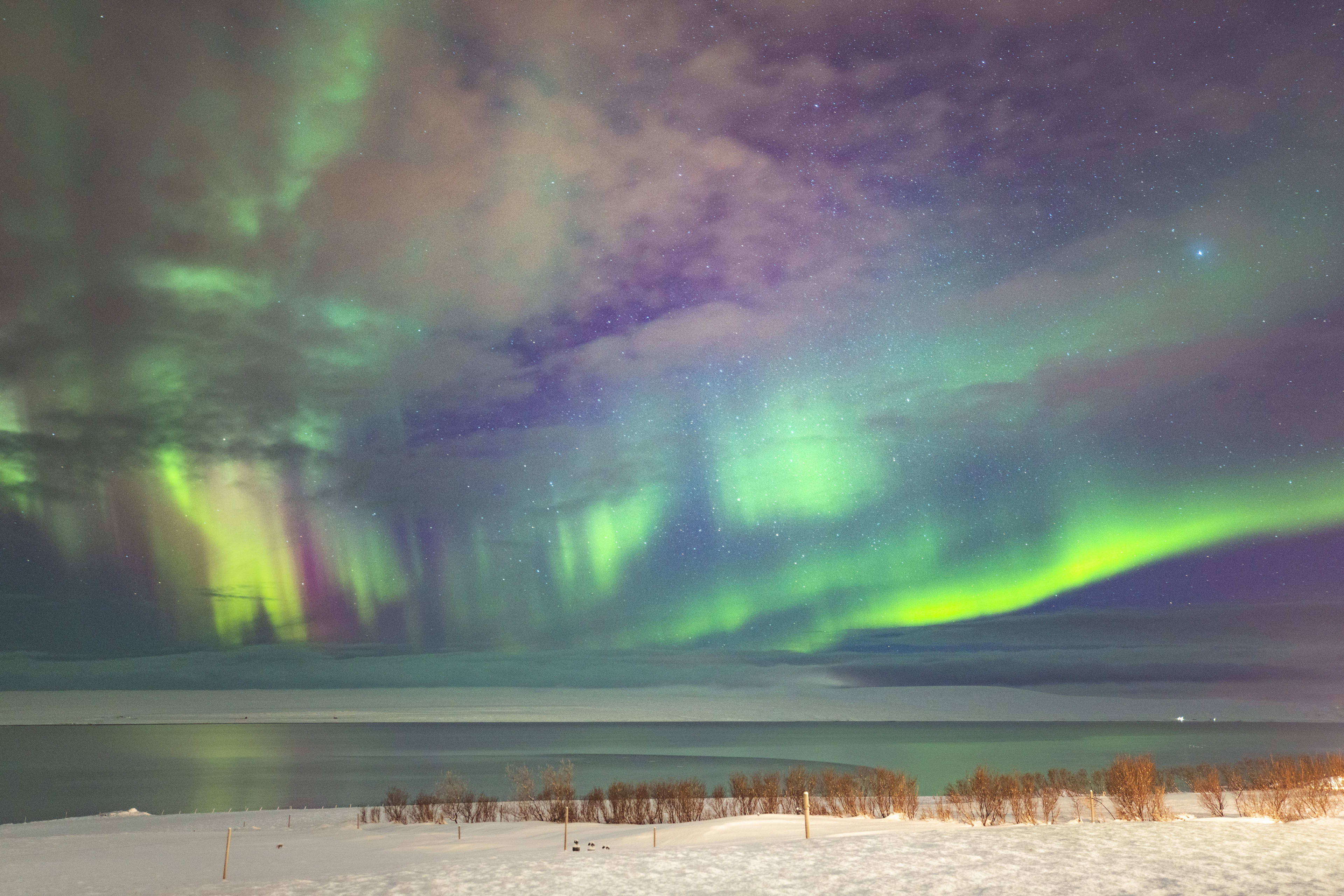 northern lights of iceland winter