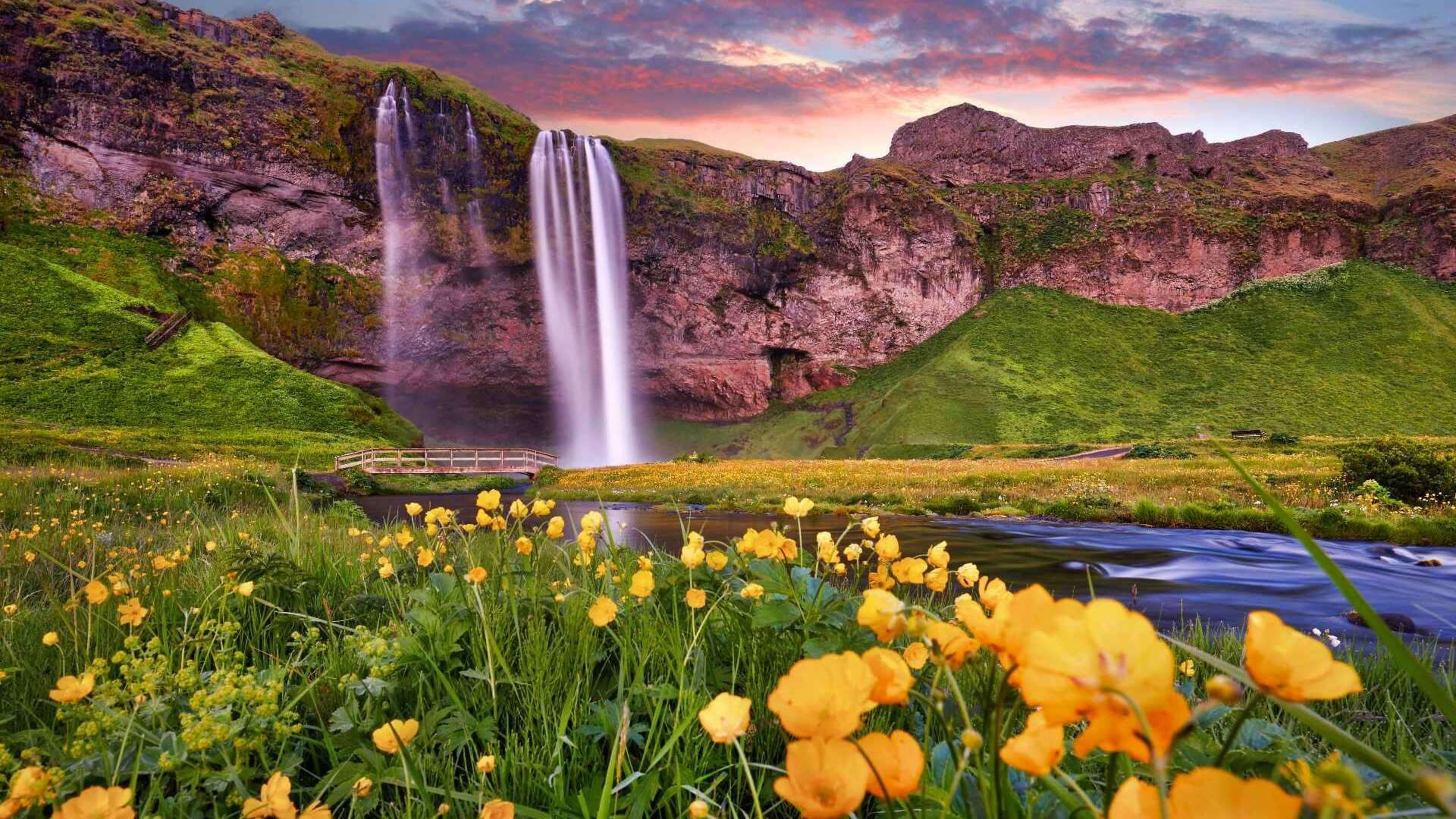 seljalandsfoss with flowers in summer