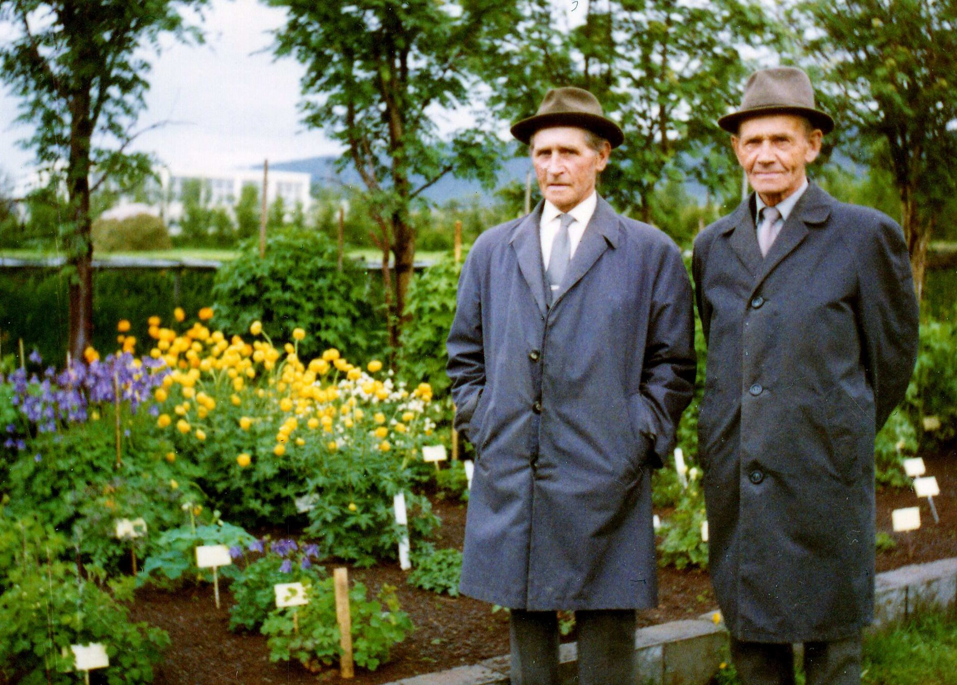 people visiting Akureyri Botanical Garden