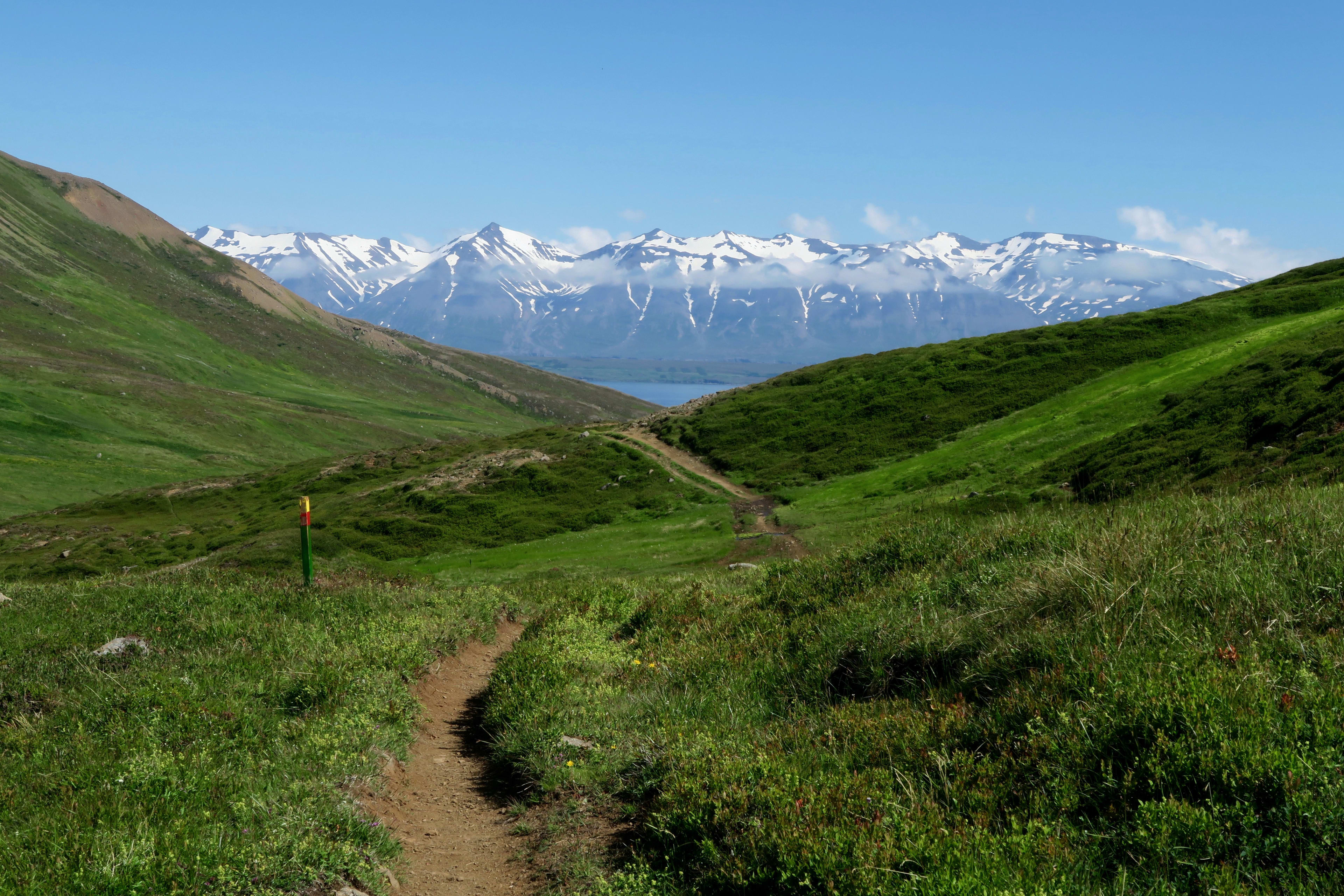 dalvik green valley