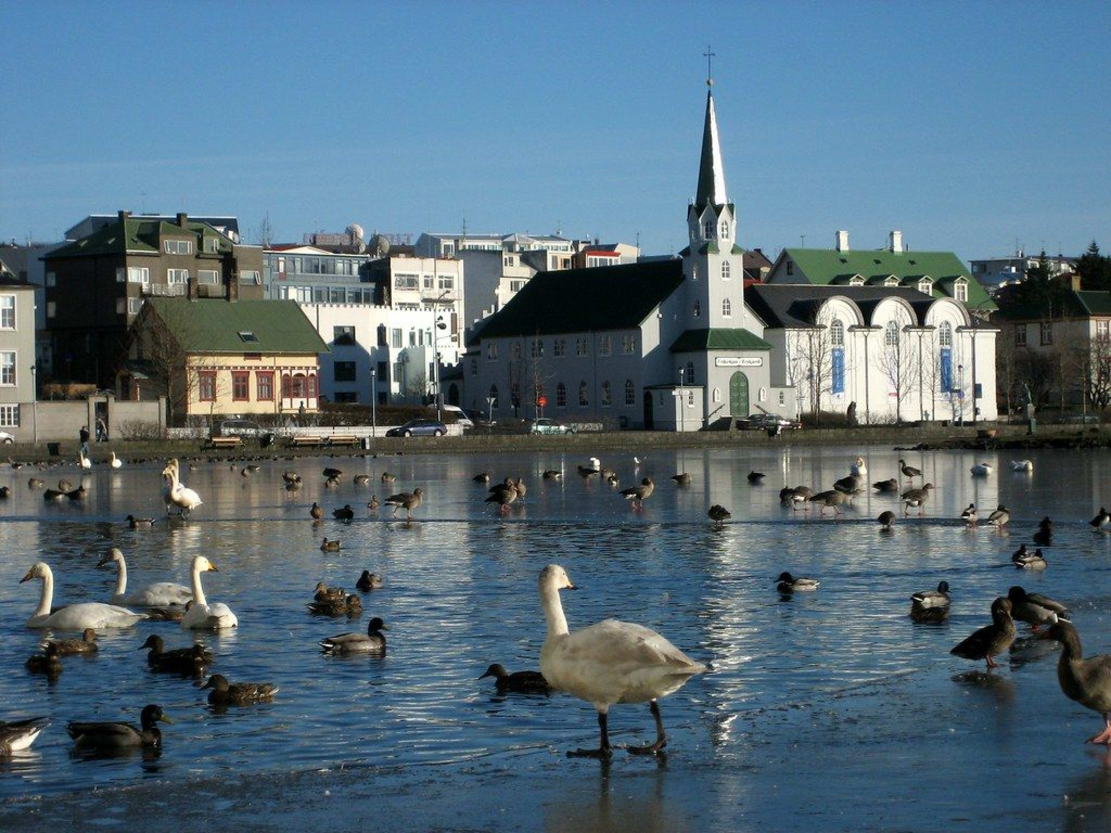 East Side of Tjornin Pond