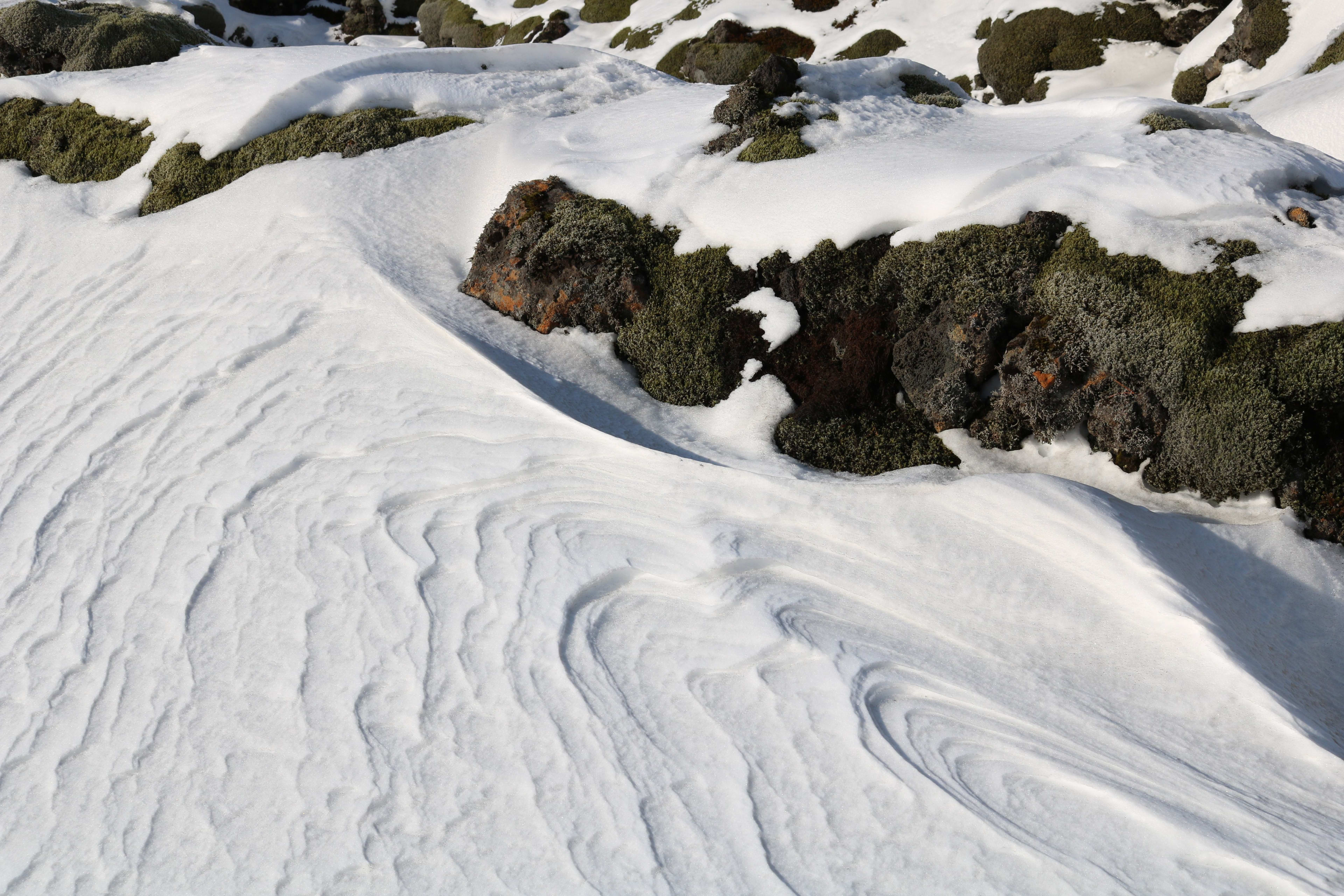 Eldhraun in snowy winter