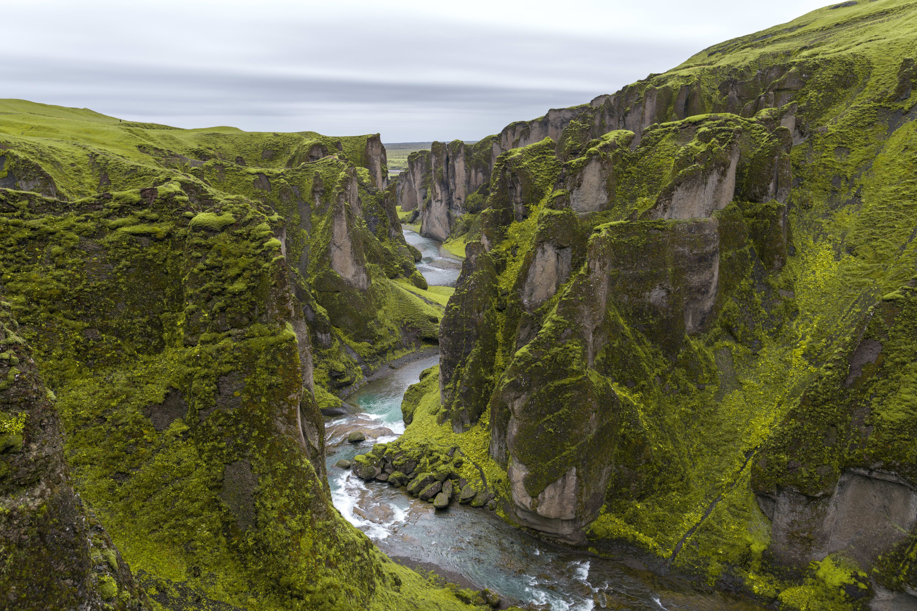 Fjadrargljufur canyon with green plants