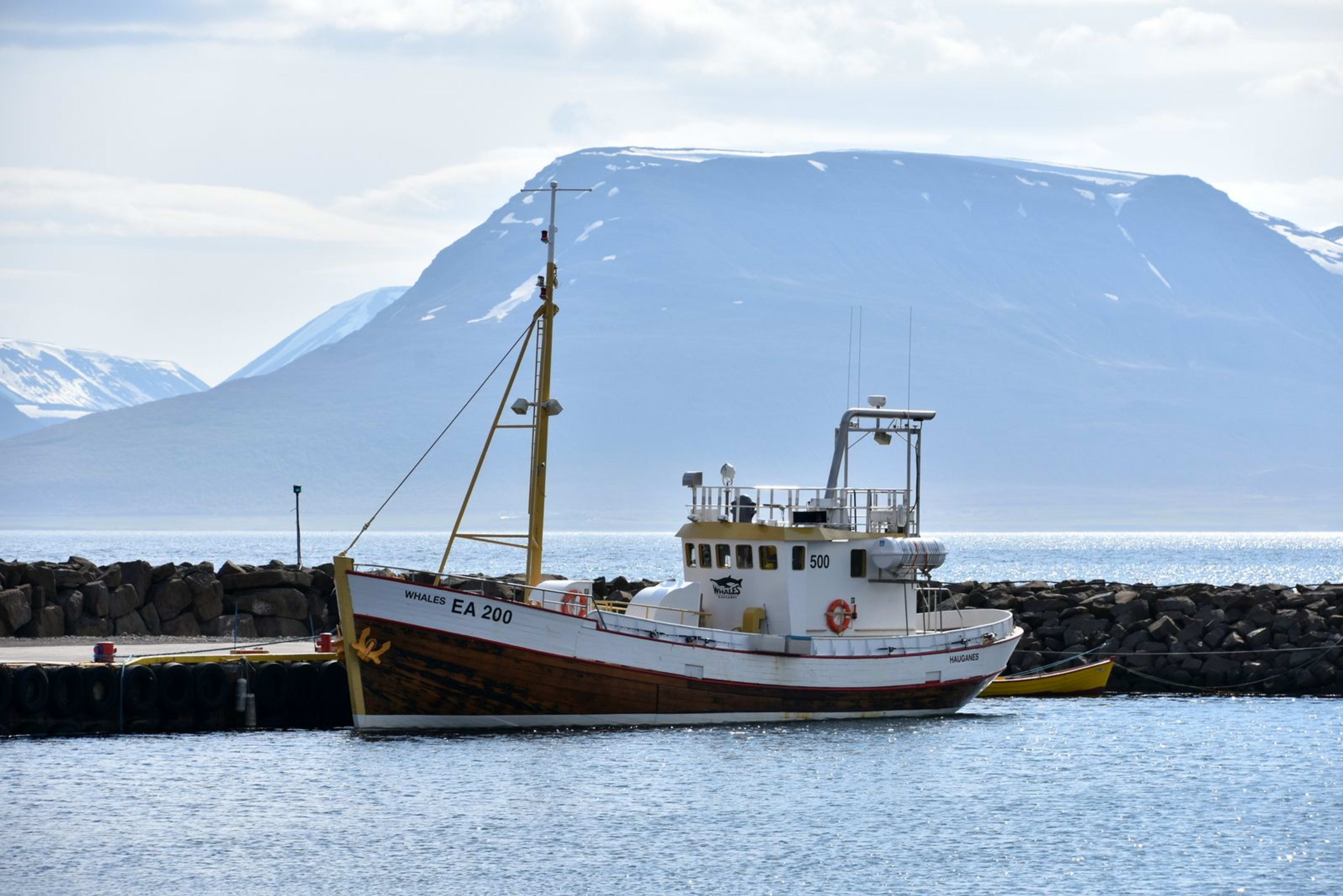 Hauganes fishing and whale watching boat