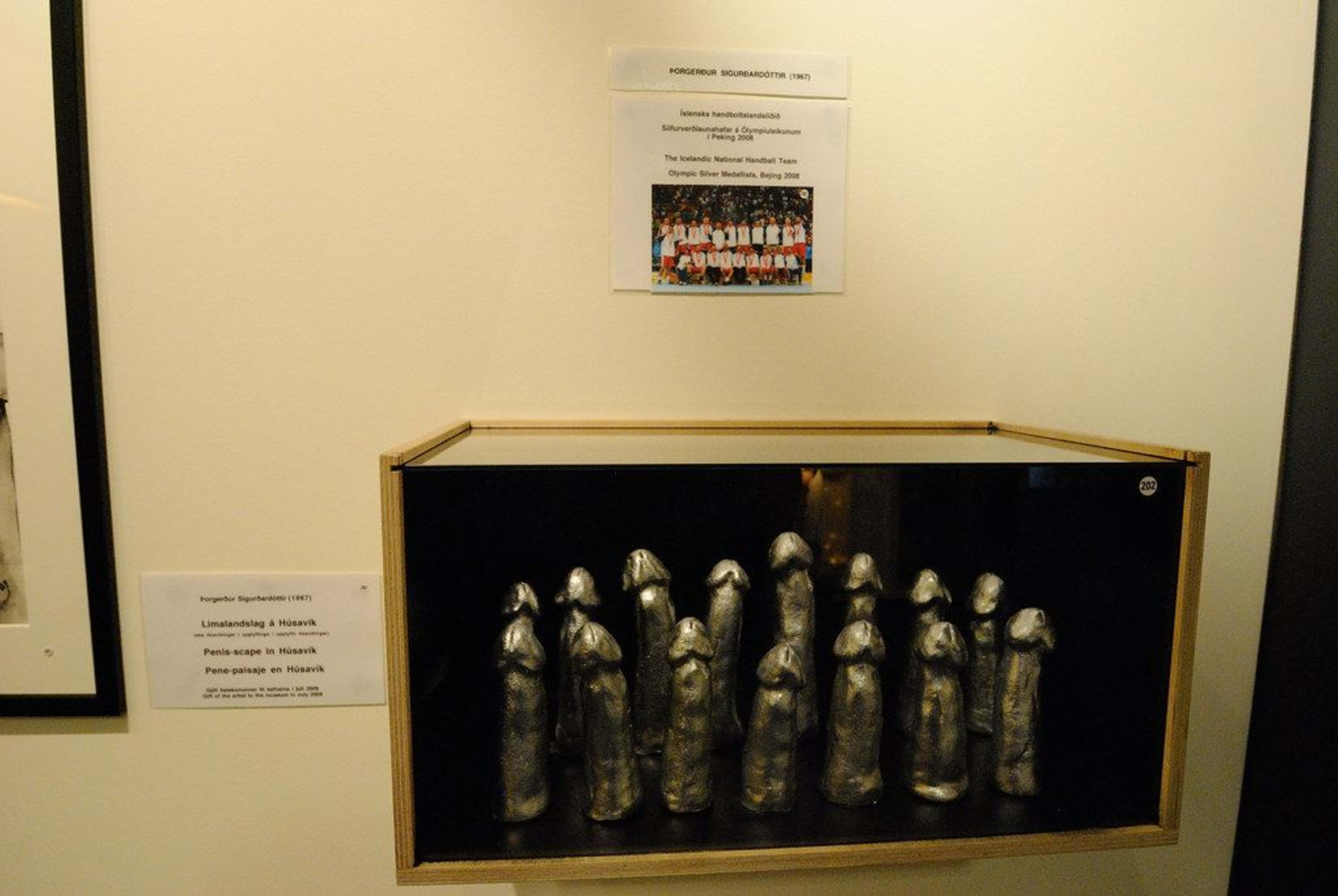 Iceland National Handball Team Penis in Icelandic Phallological Museum