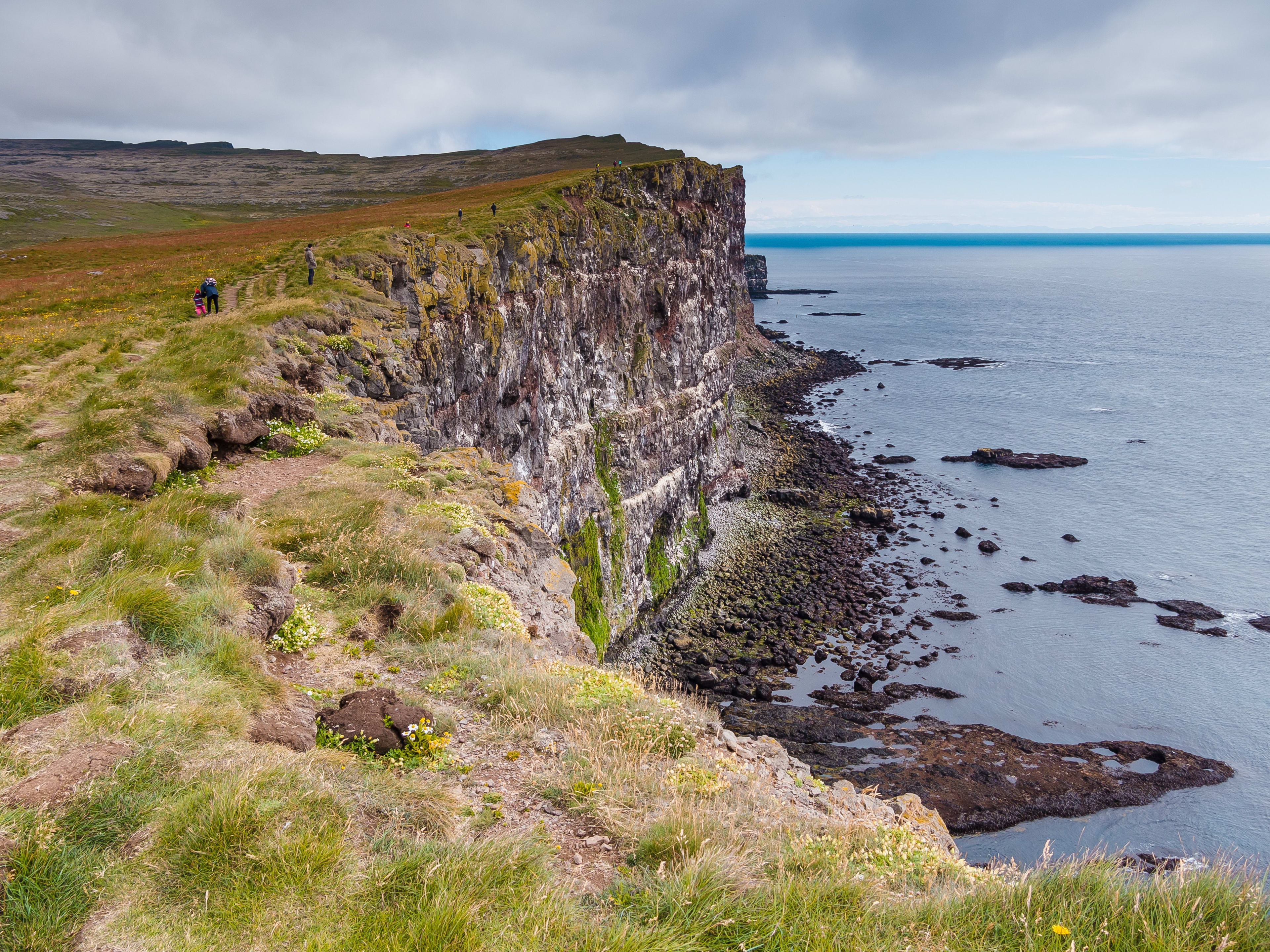 grass-covered Latrabjarg cliff