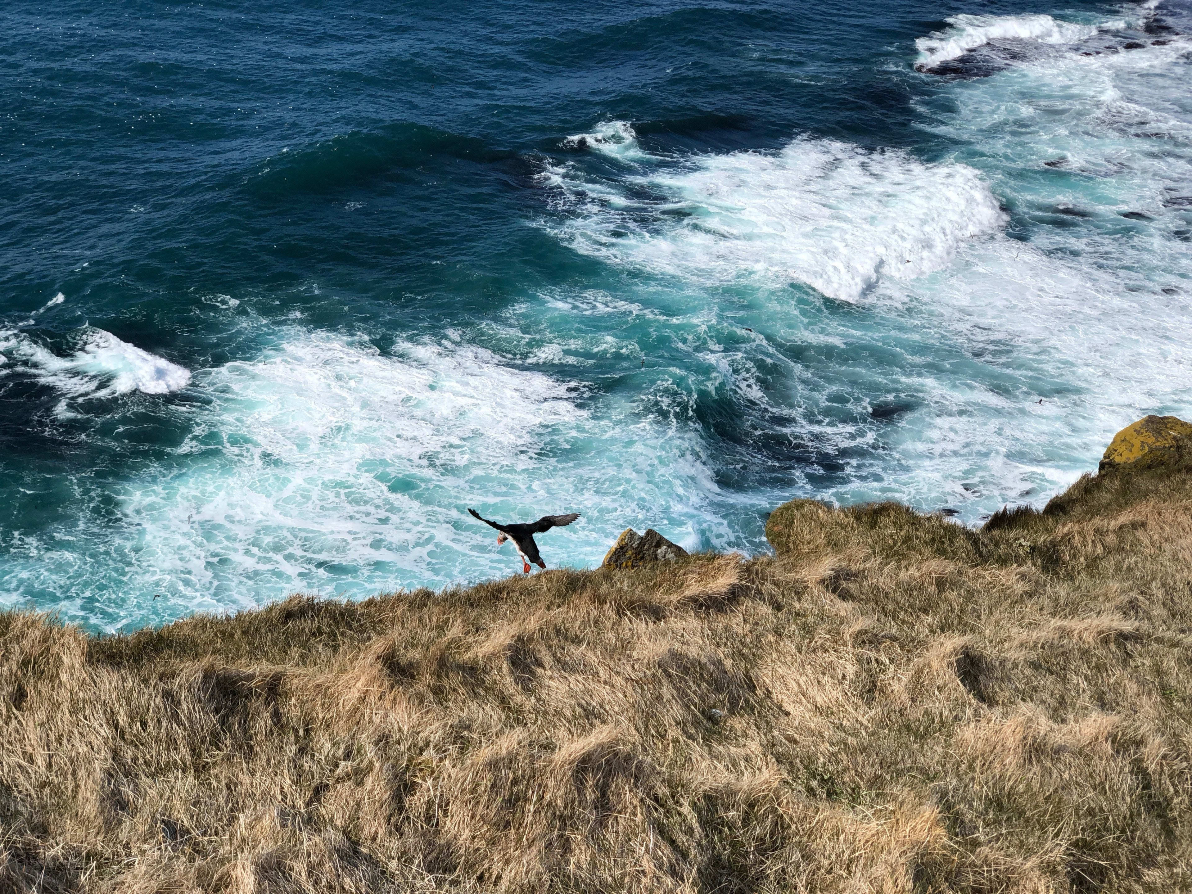 Latrabjarg with sea waves