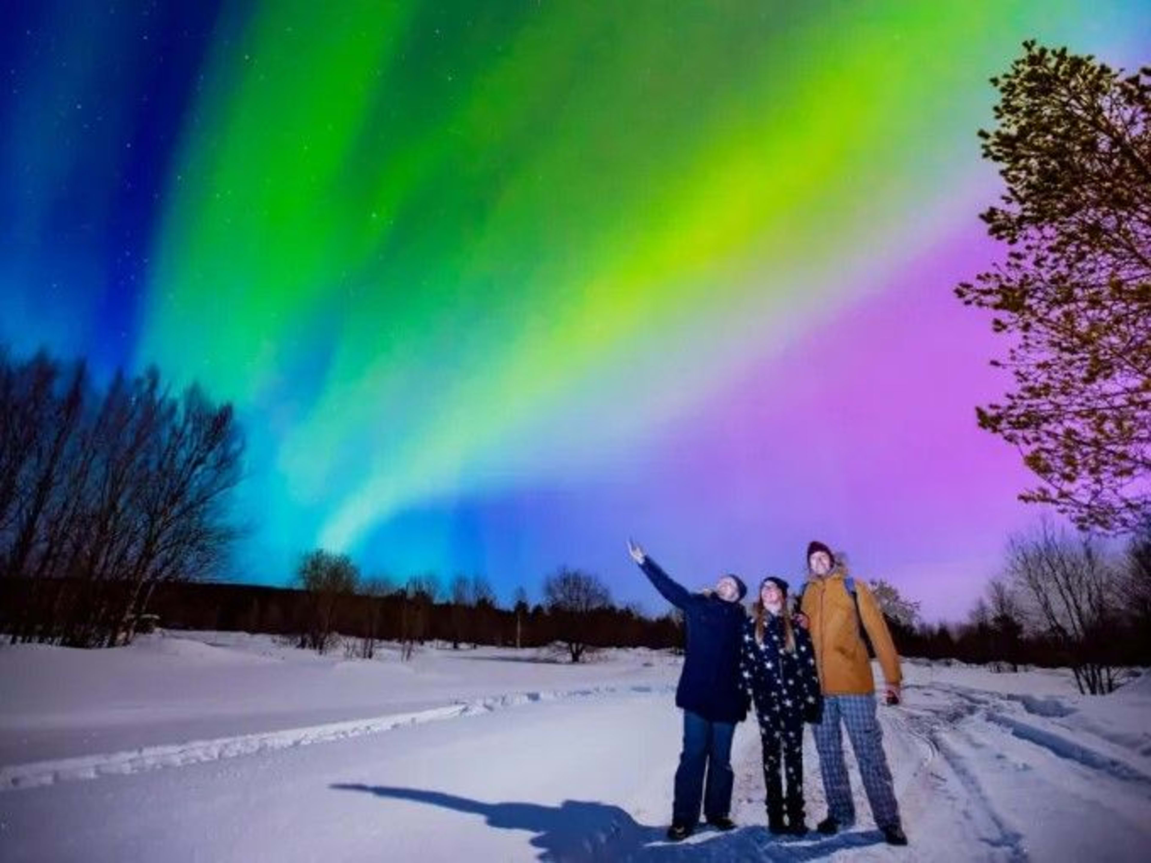 northern lights watching small group