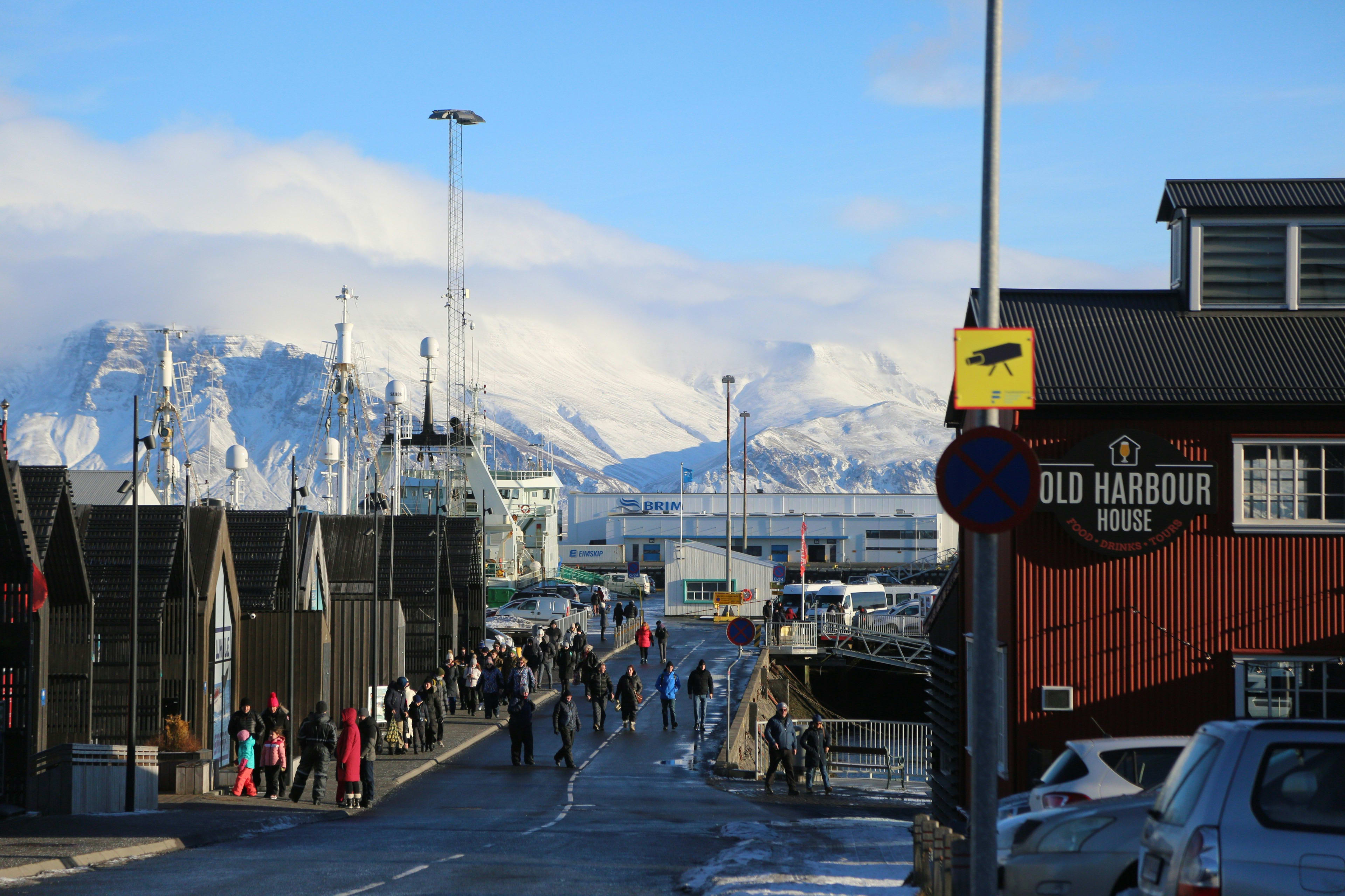 Old Harbour Street in reykjavik