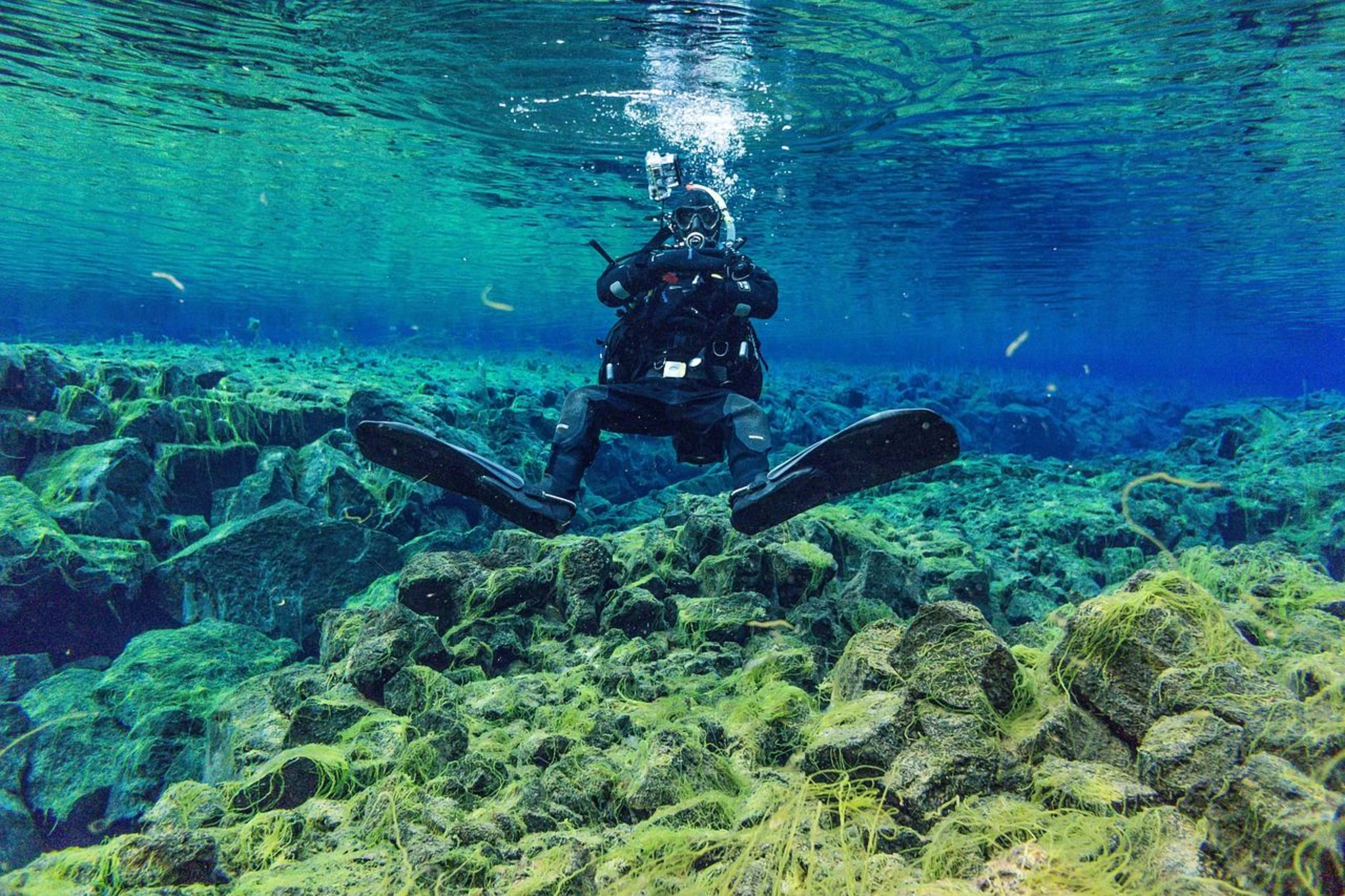 snorkeling between silfra‘s unique rock formations and algae