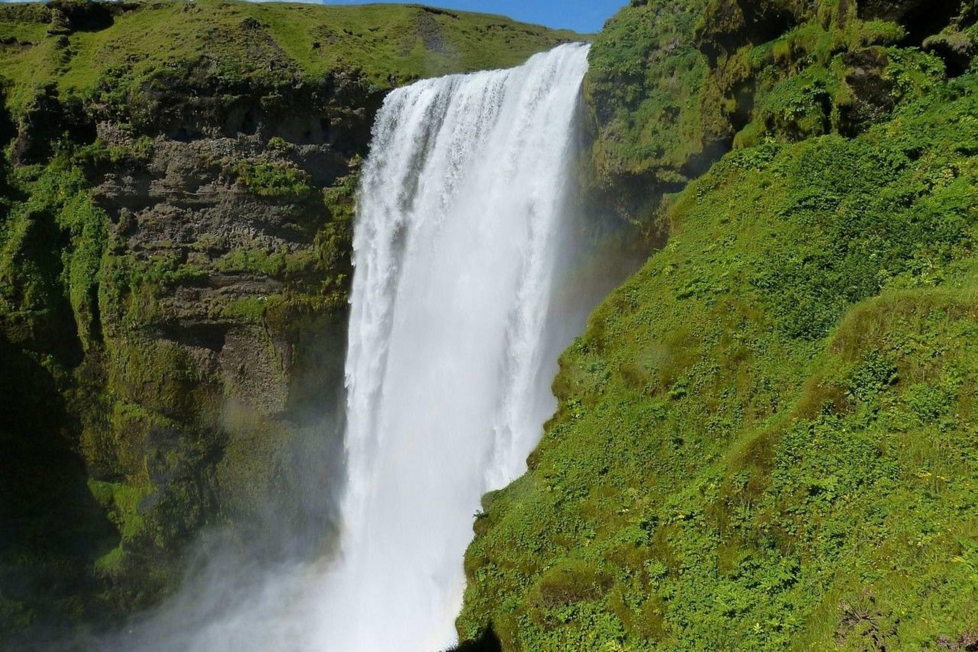 forest waterfall skogafoss in green valley