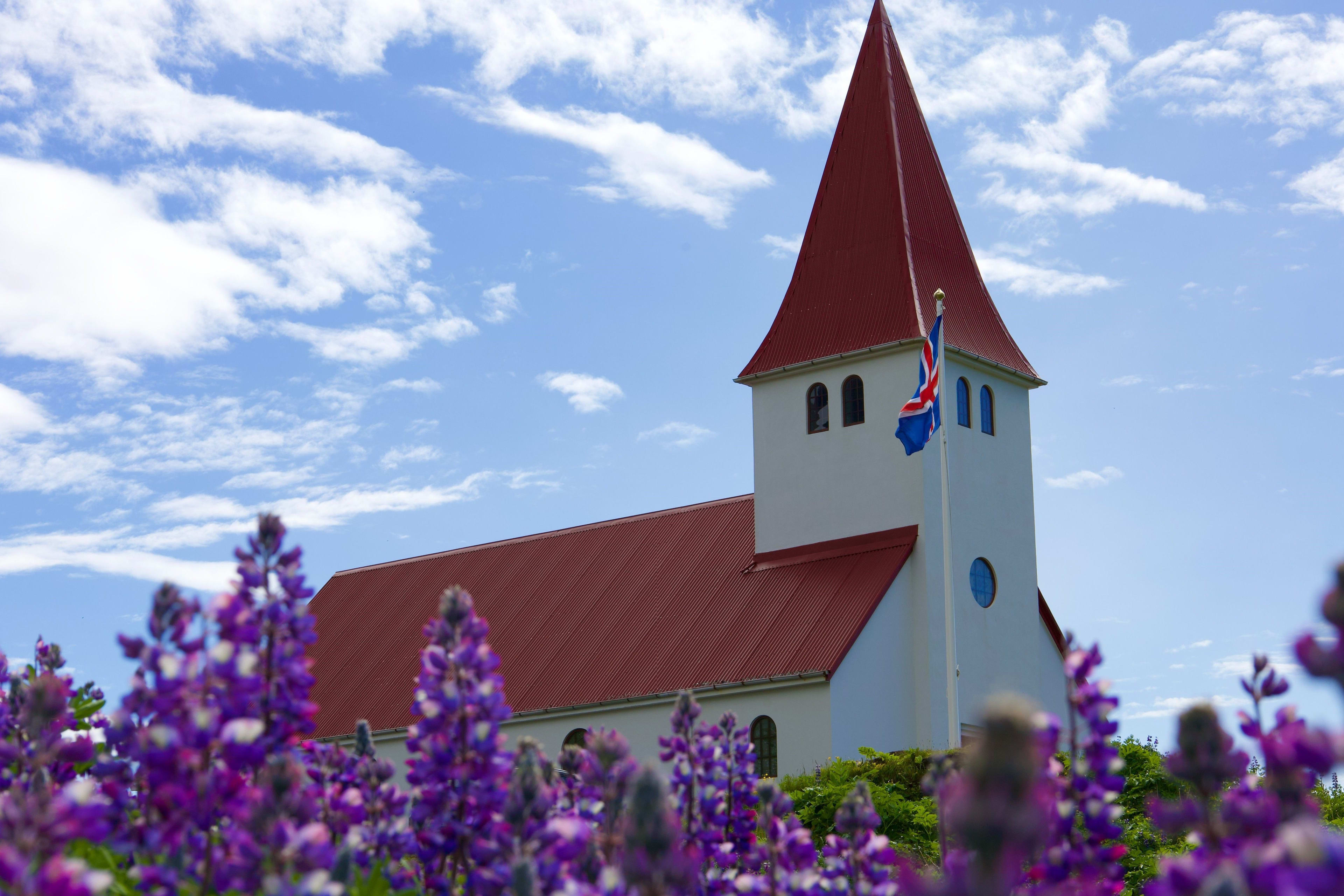 vik red church with lupins