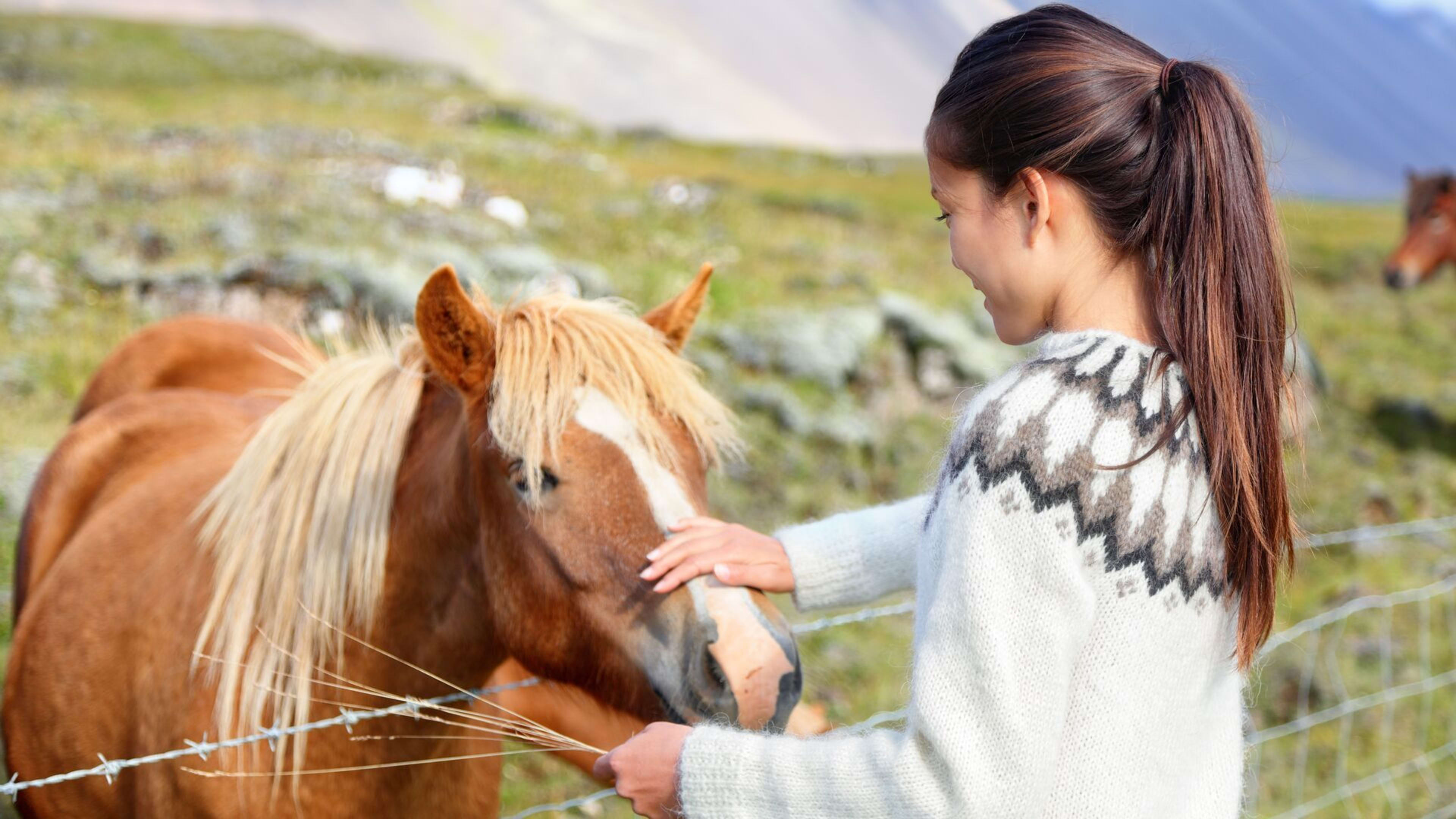 woman with icelandic horse