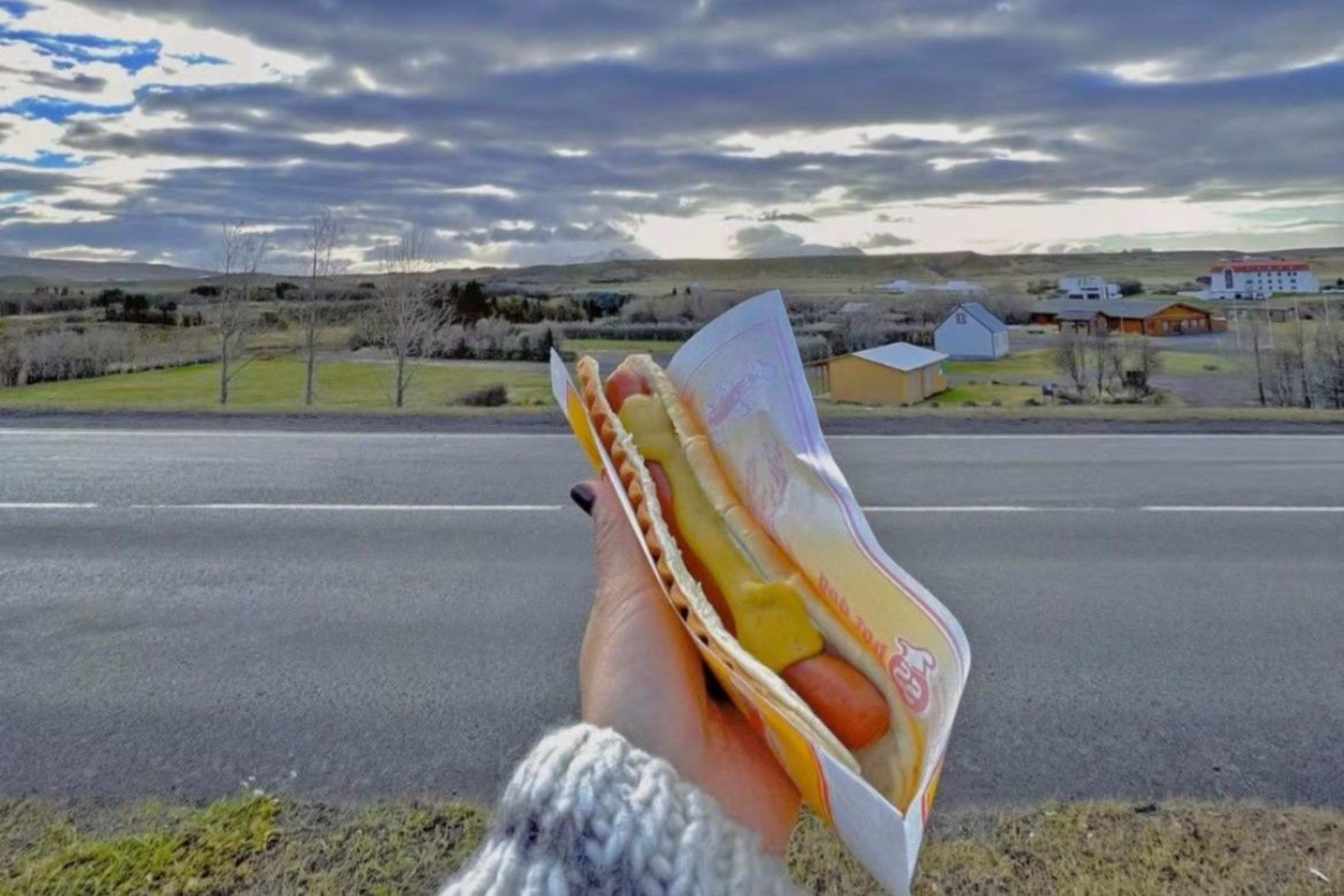 iceland hot dog