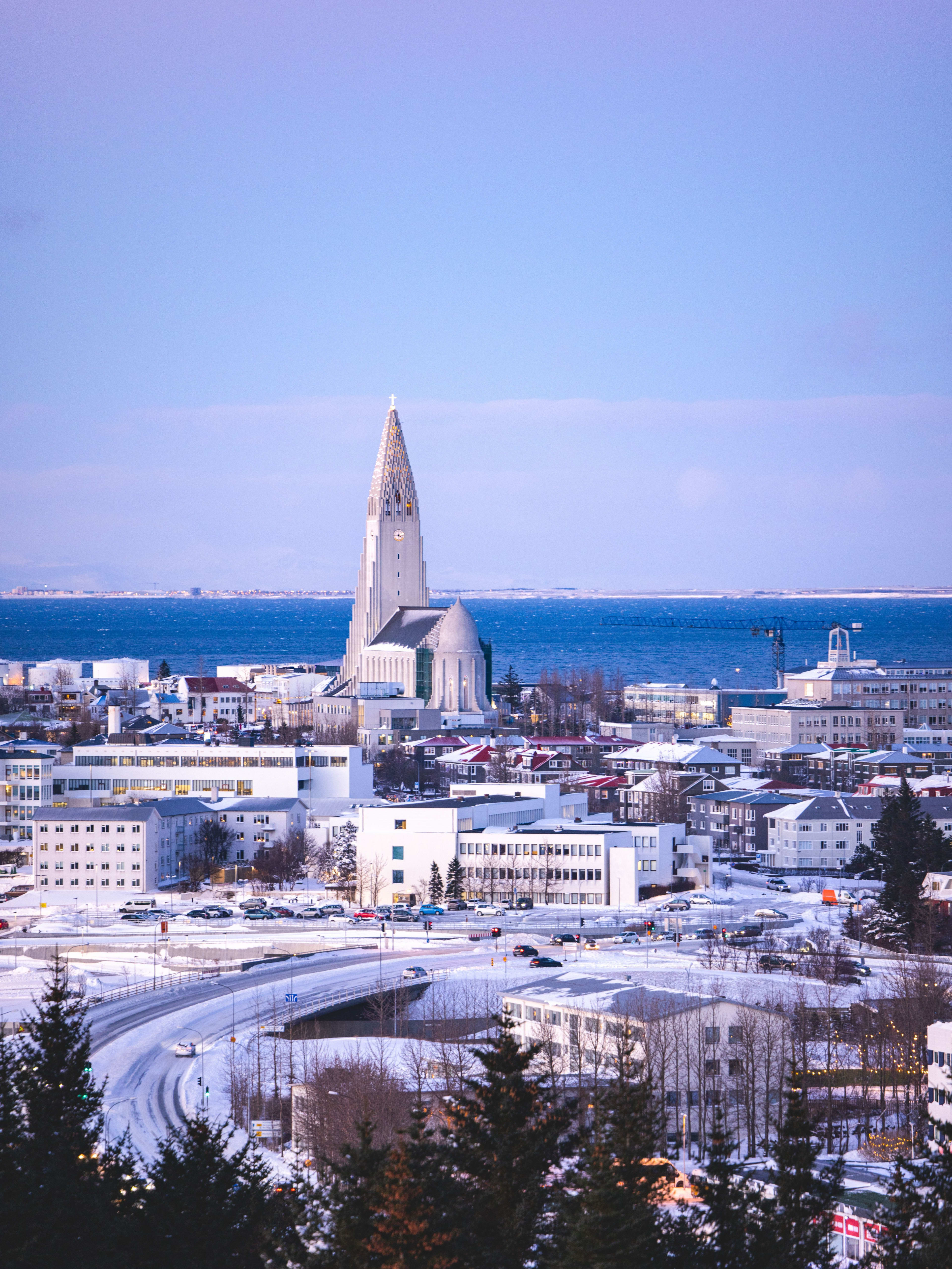 winter reykjavik potrait