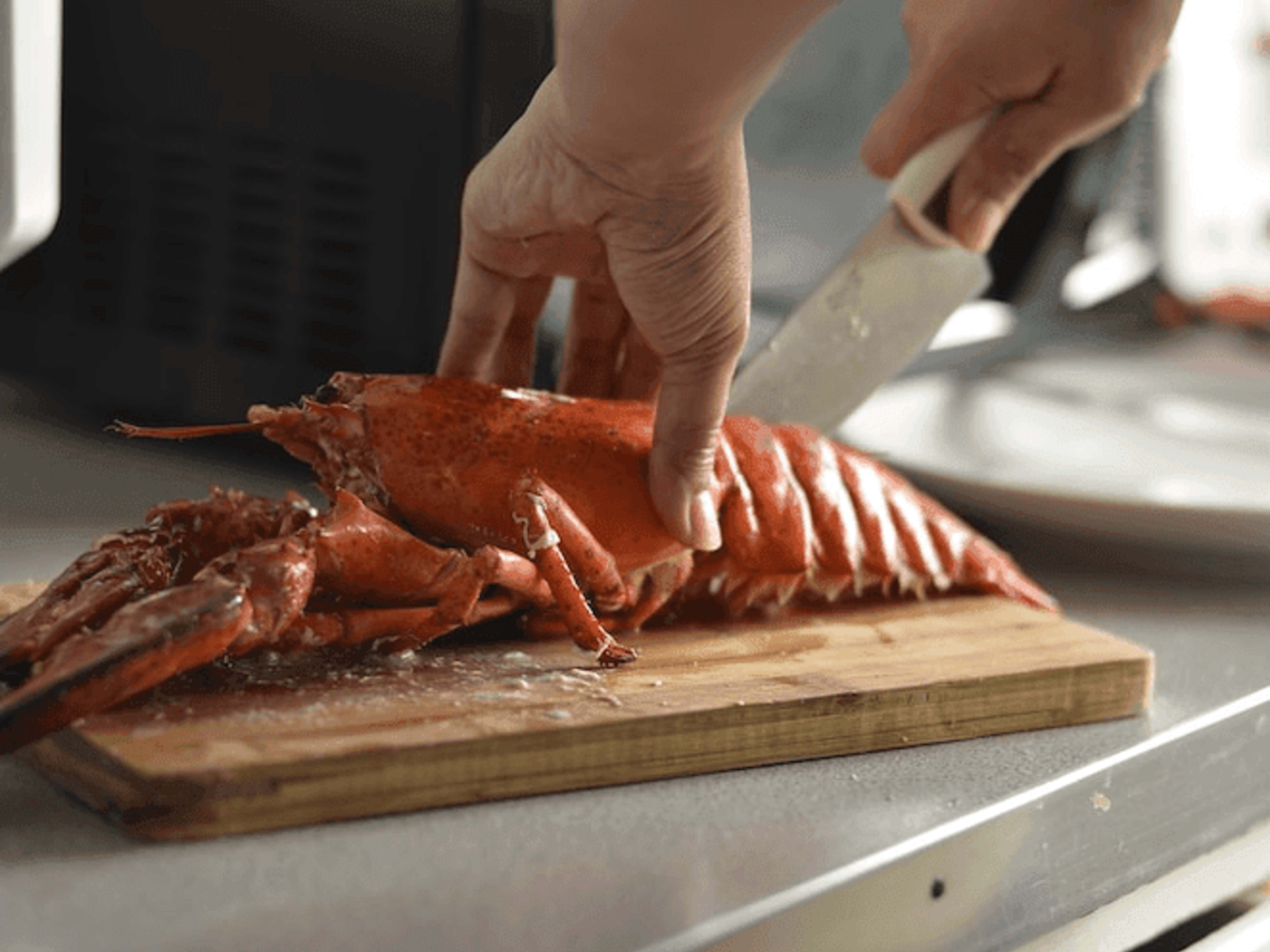 icelandic lobster