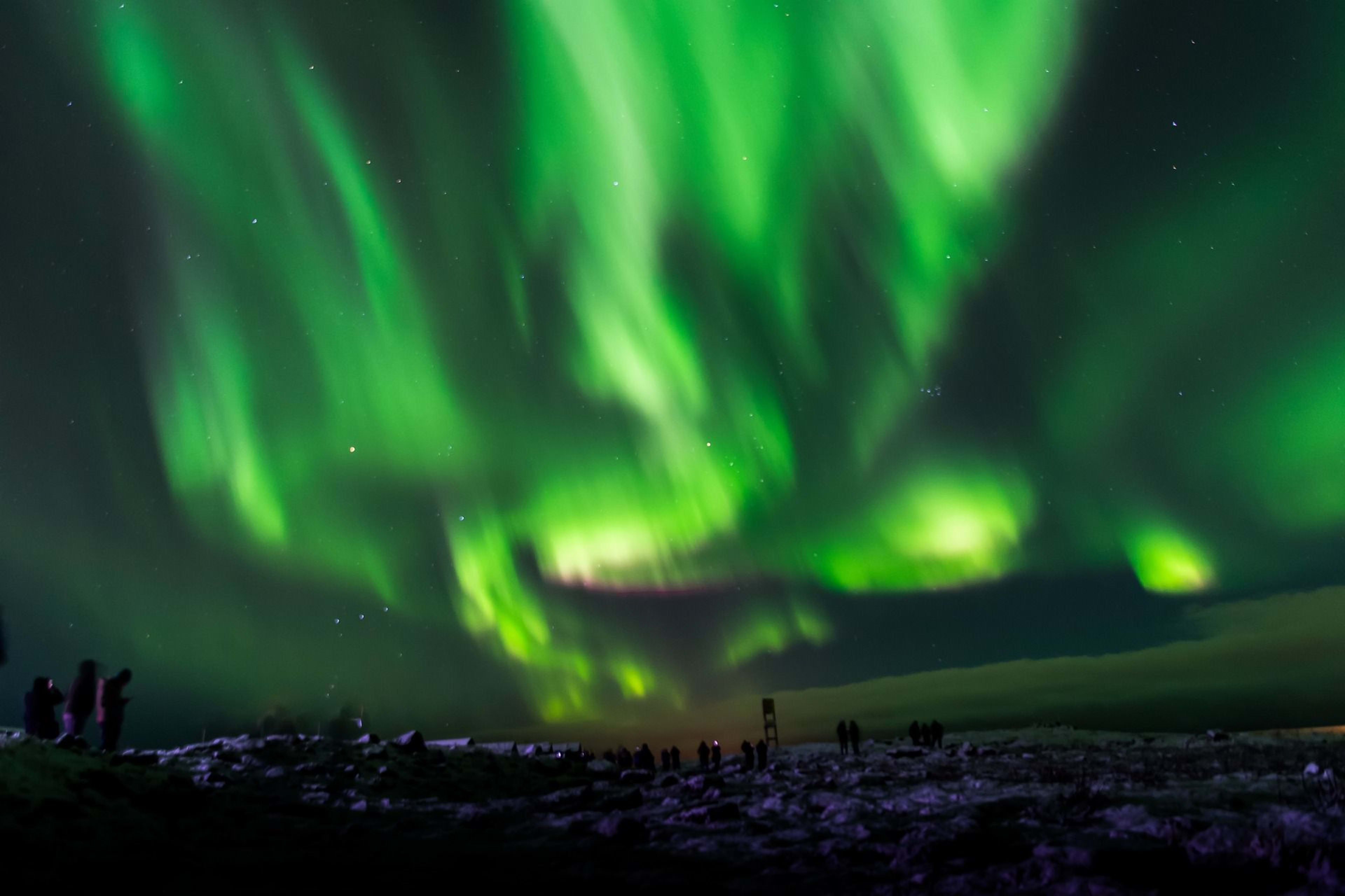great green aurora borealis in iceland wild