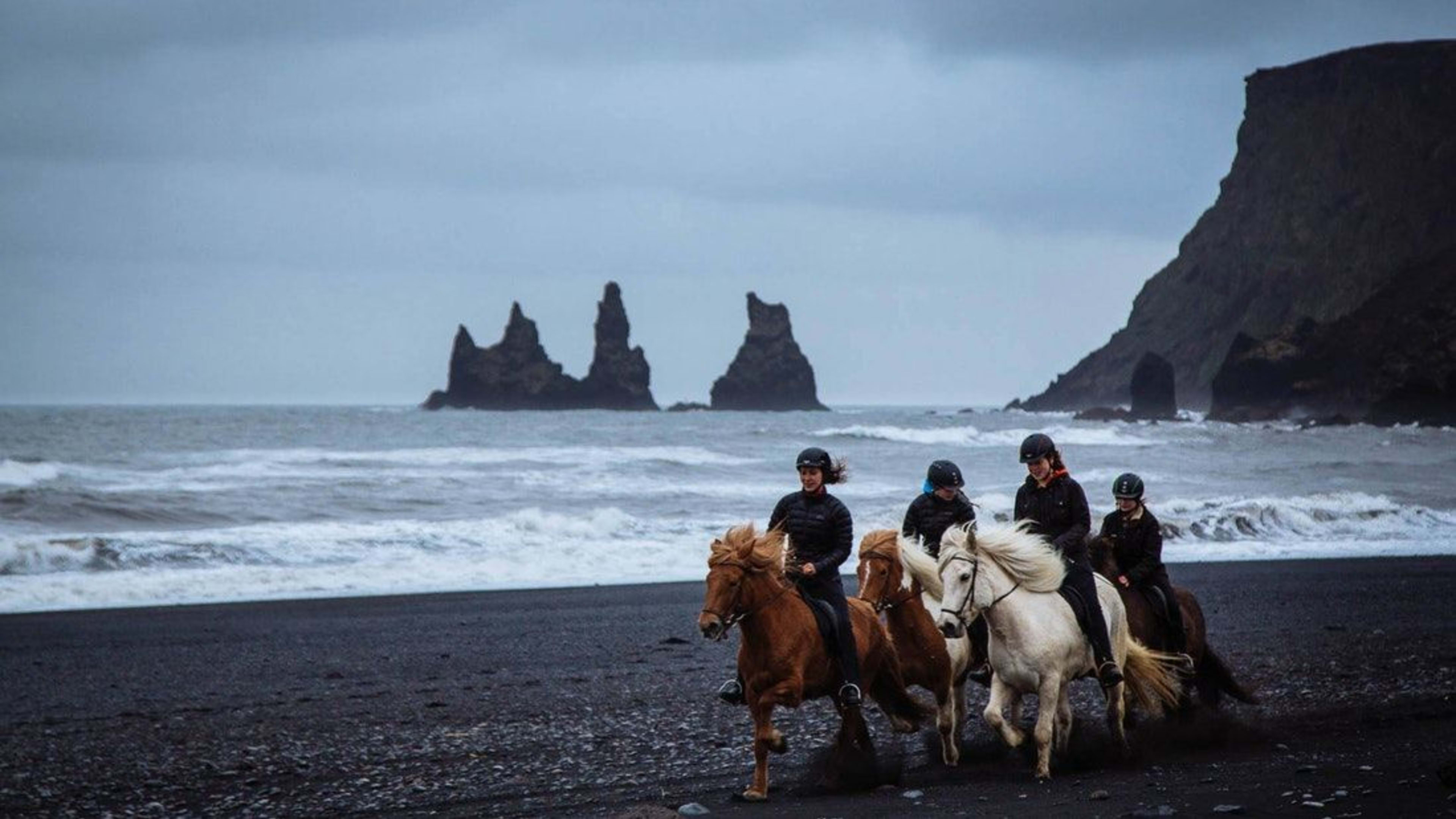 icelandic horse black beach riding in south iceland