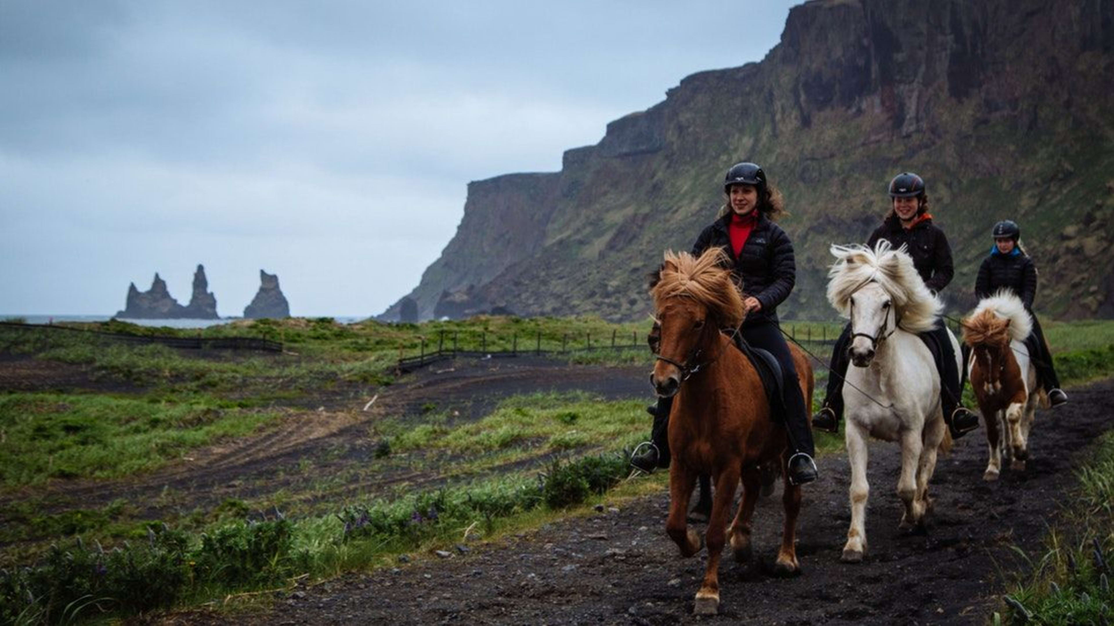 icelandic horse riding in vik