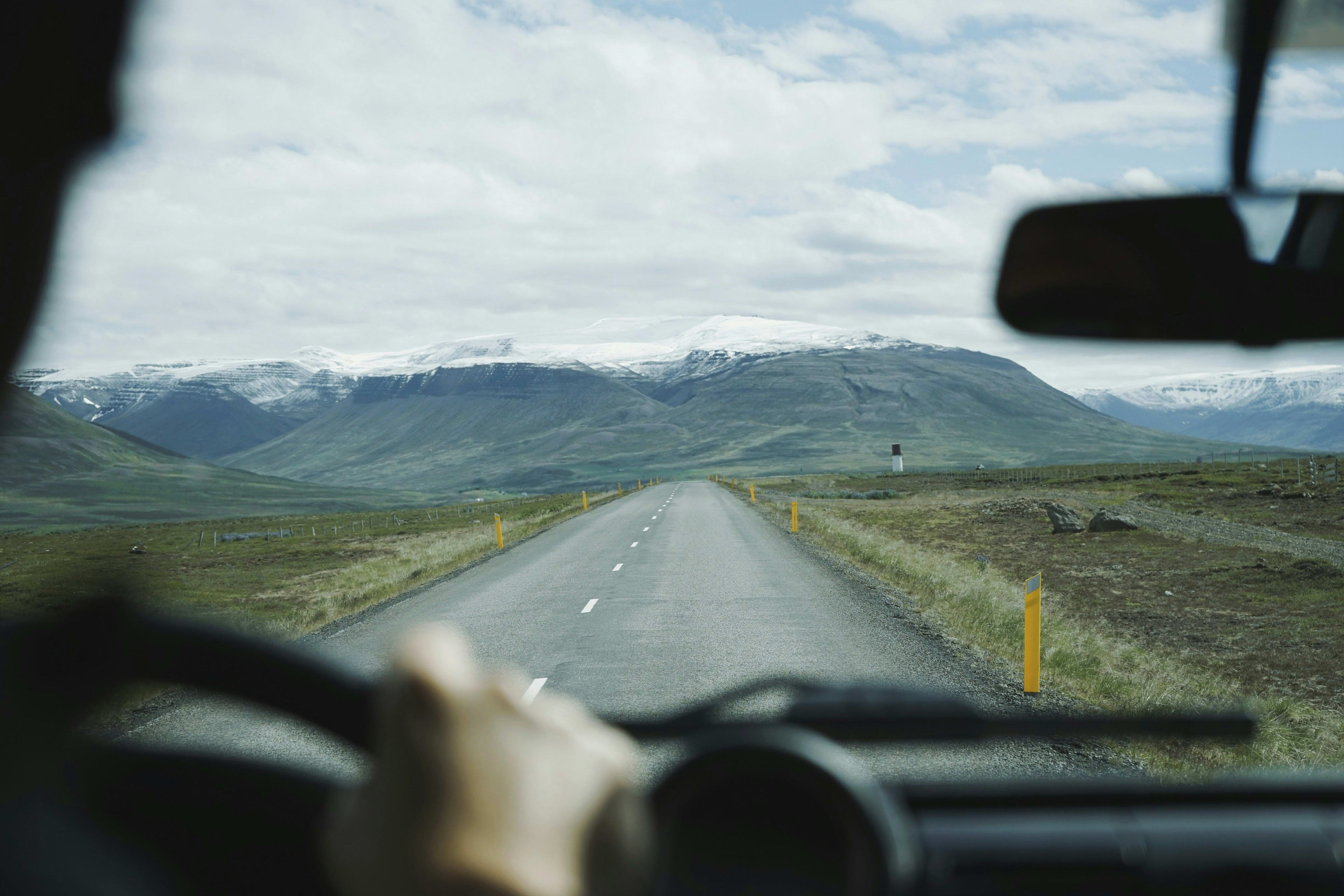 driving in the wild nature