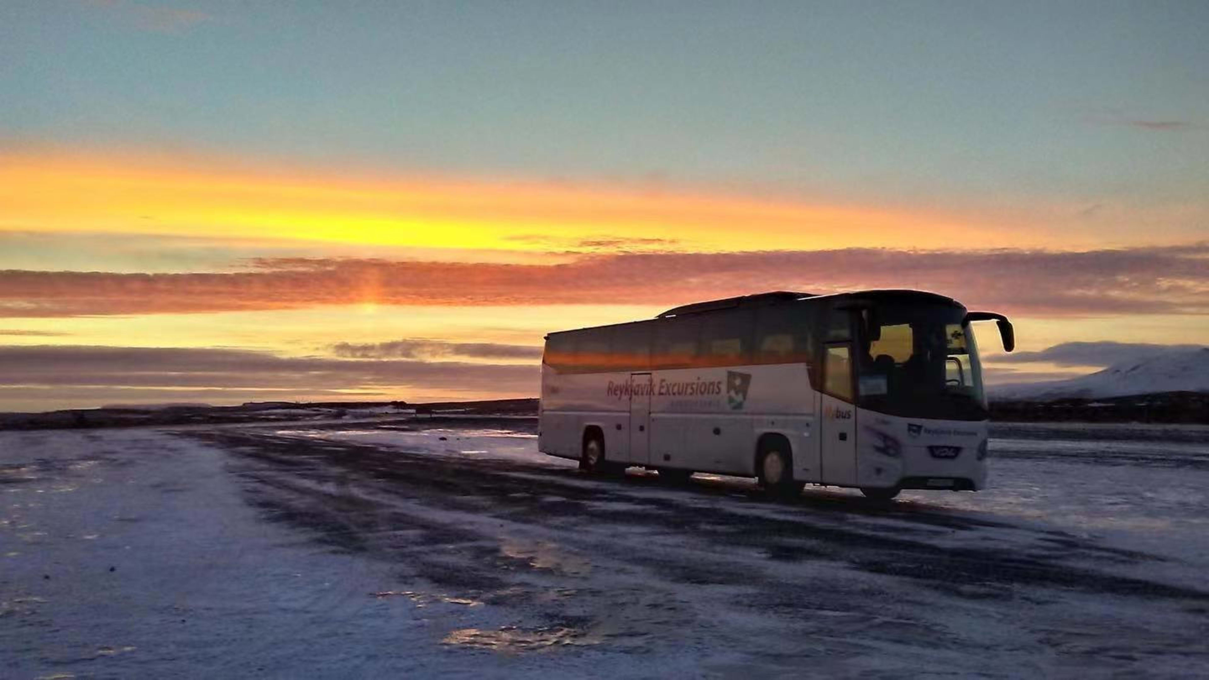 flybus at sunset