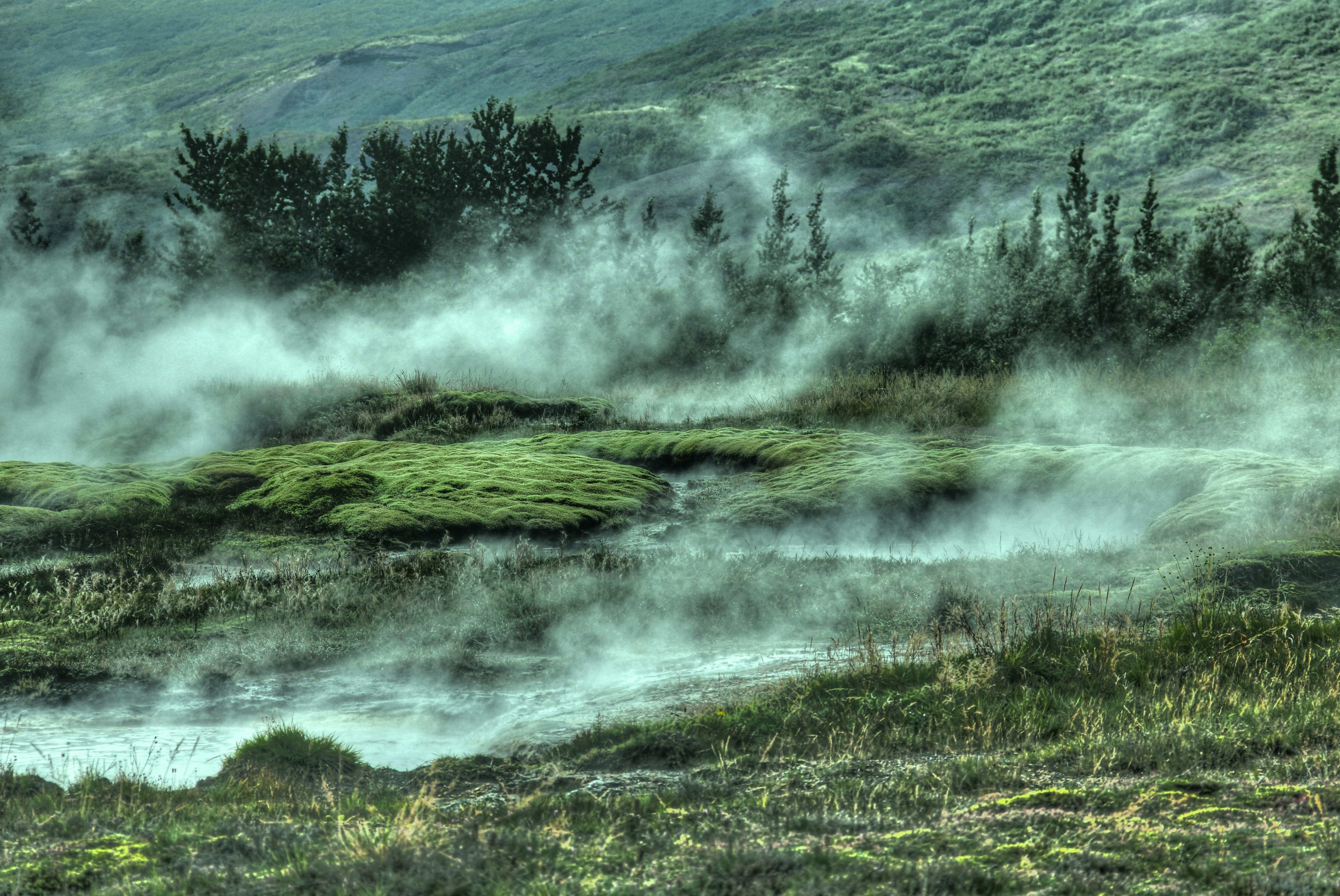 geysir geothermal area