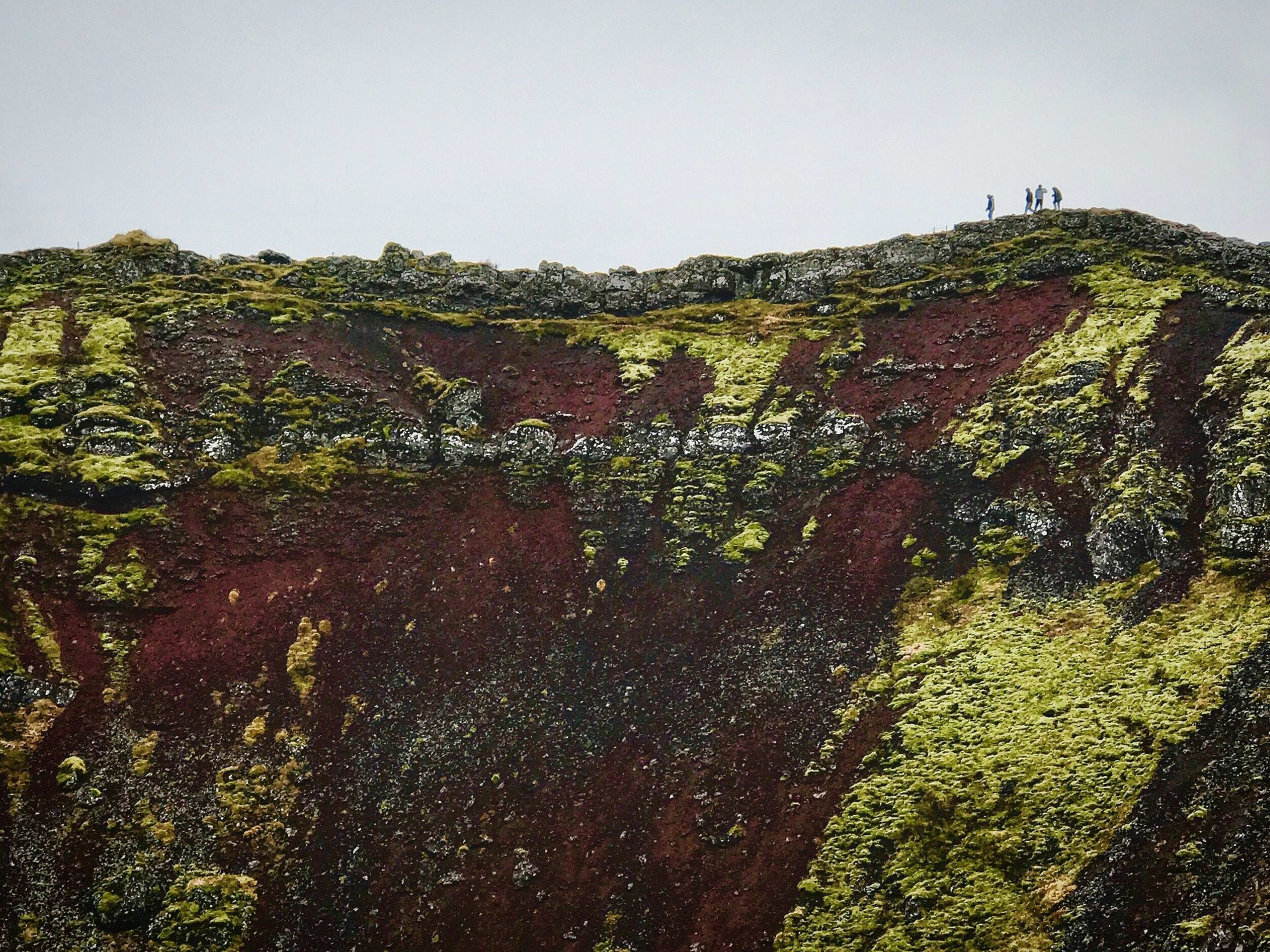 moss and red soil of kerid crater