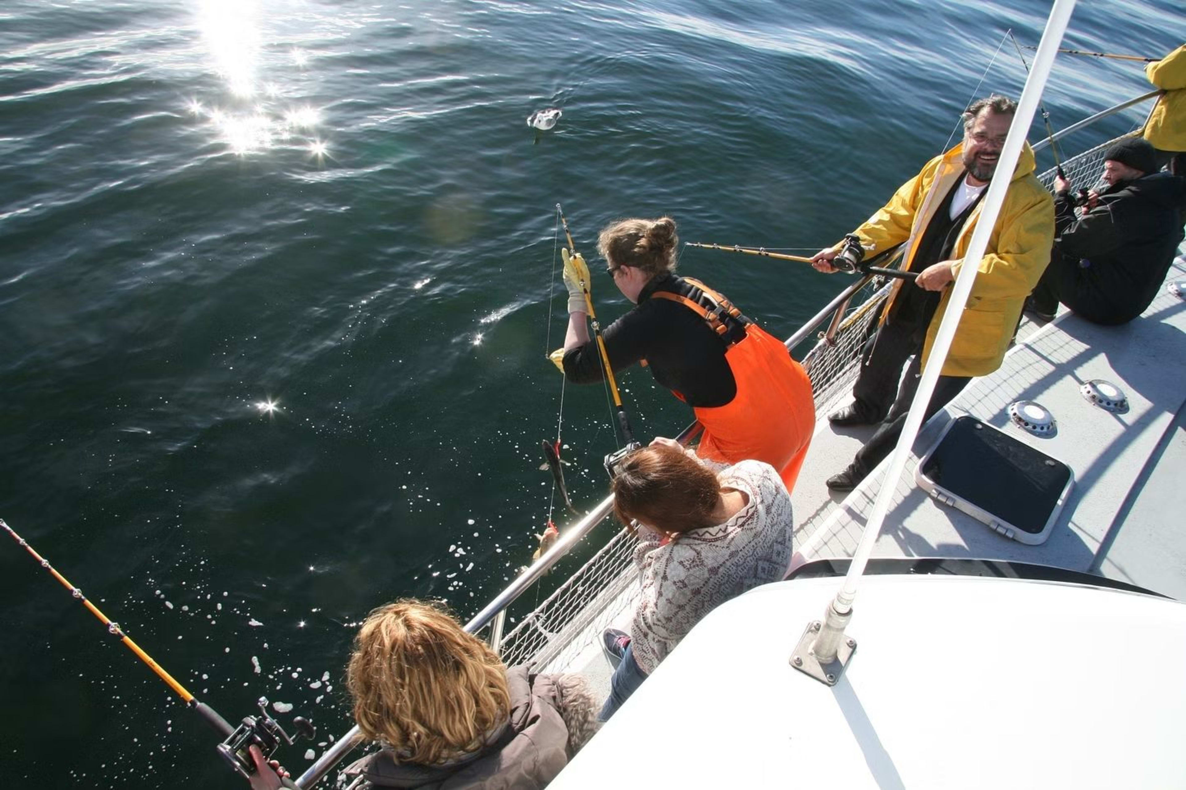 sea fishing in iceland