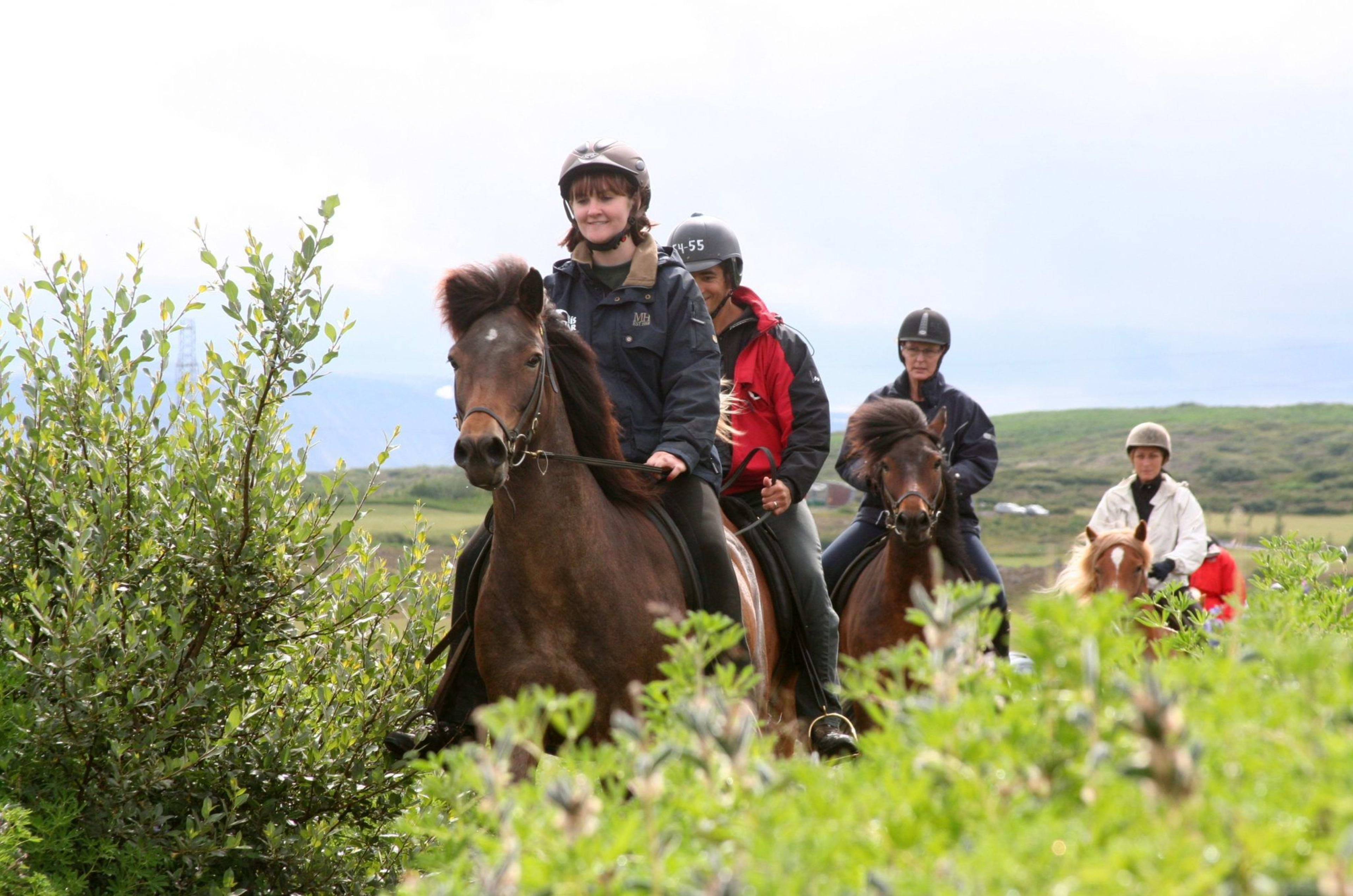 viking horseback riding in summer